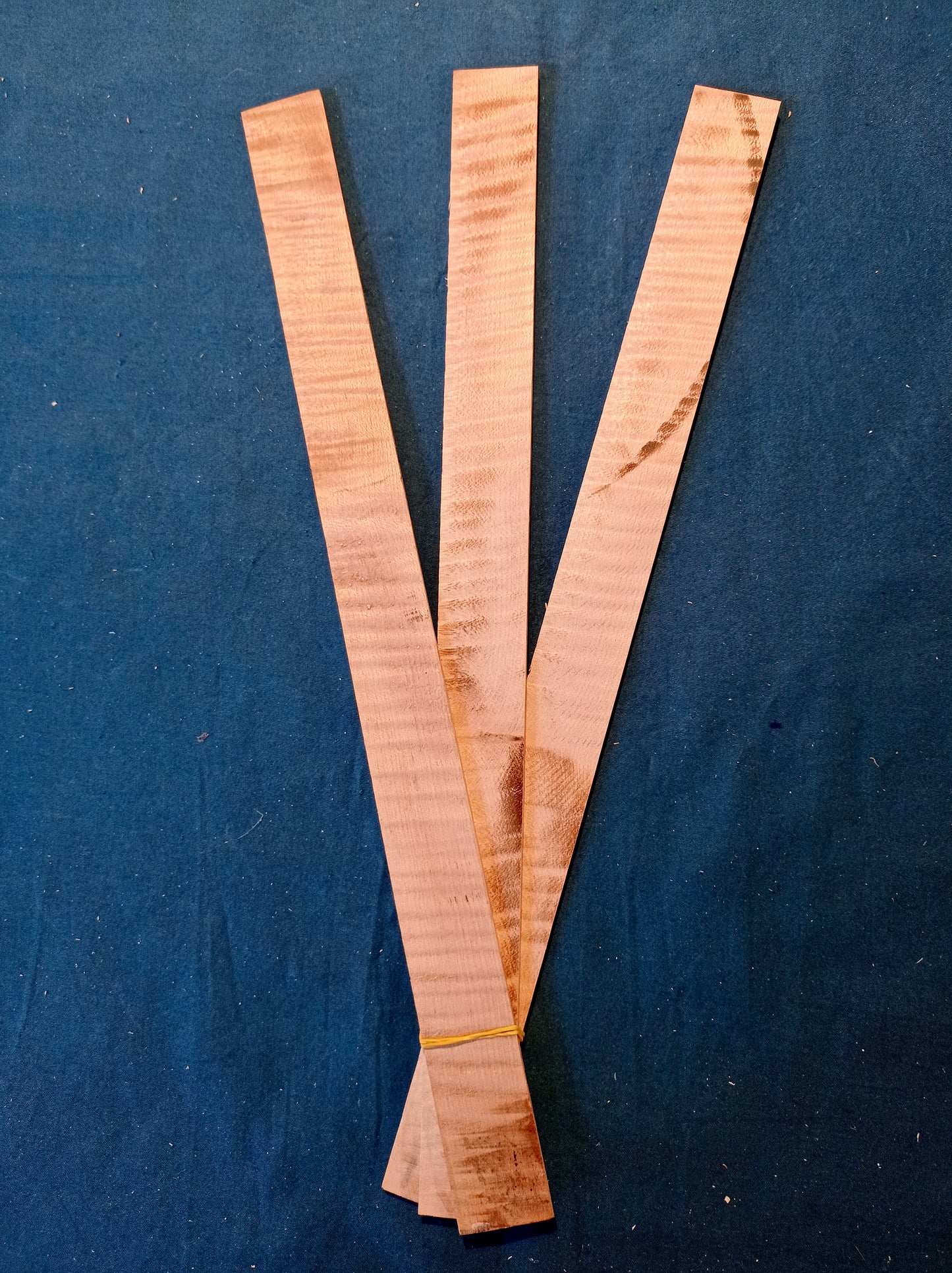 Violin ribs - set, piece 702