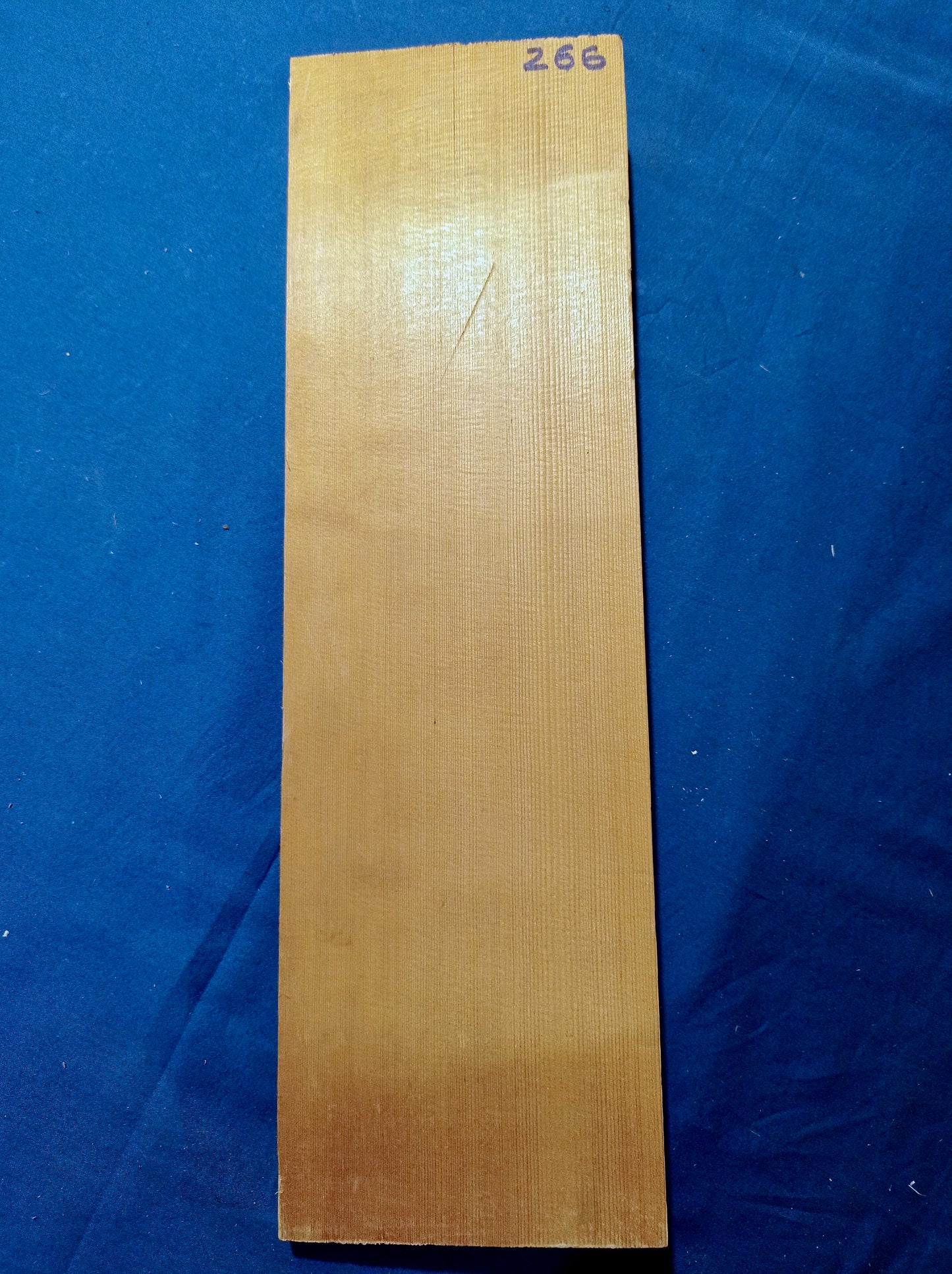 Viola Two Piece Top - Twins, piece 266