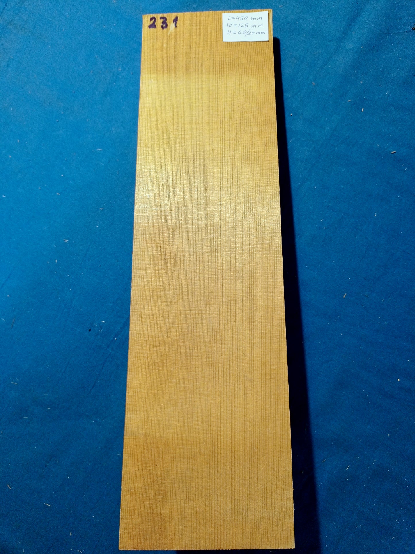 Violin Two Piece Top - Twins, piece 231