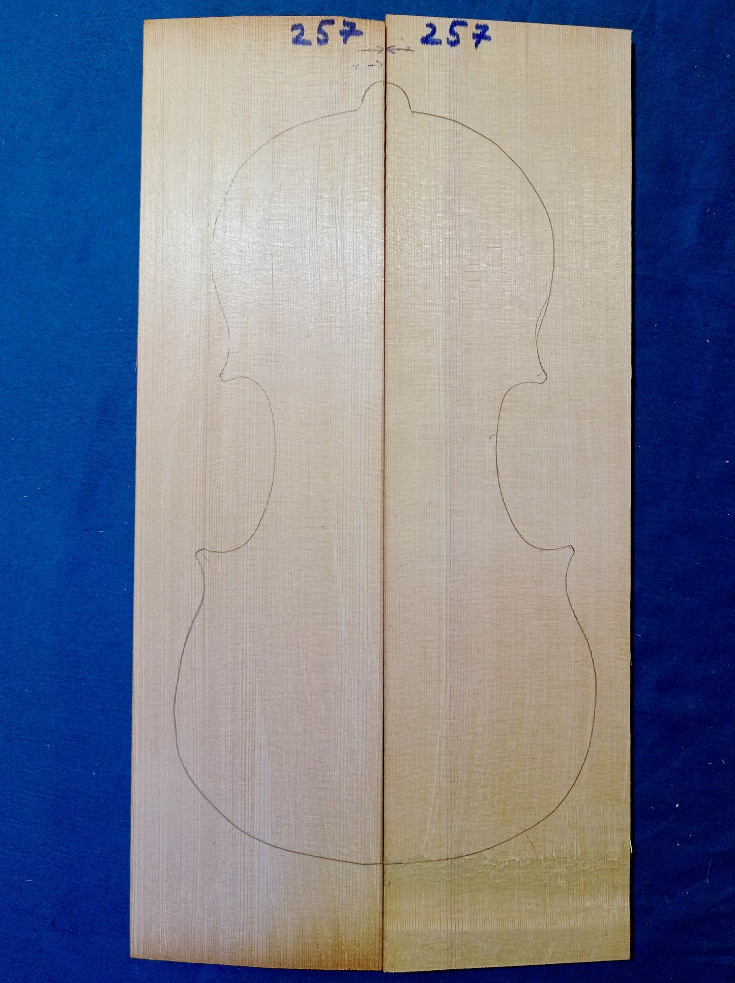 Violin Two Piece Top - No Twins, piece 257