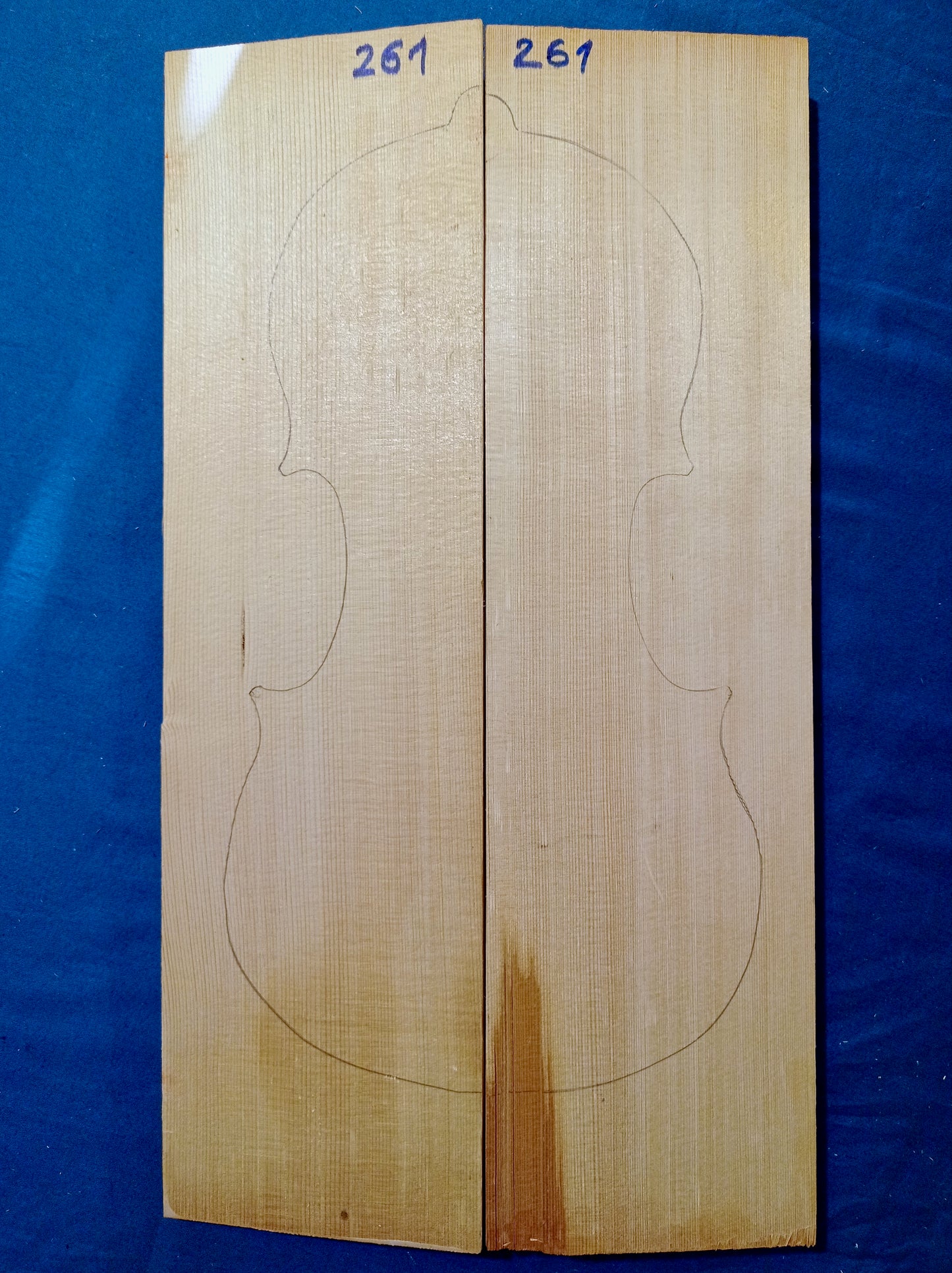 Violin Two Piece Top - No Twins, piece 261