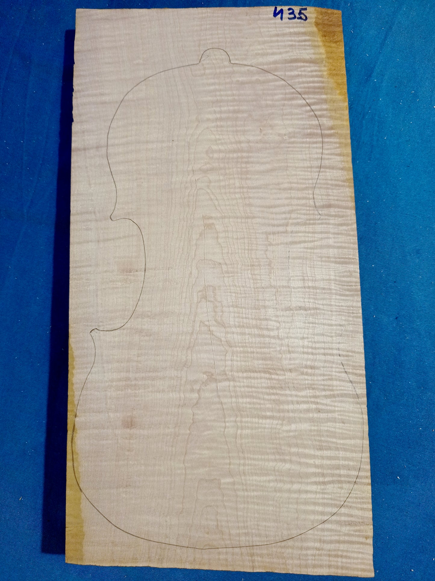 Violin One Piece Back, piece 435