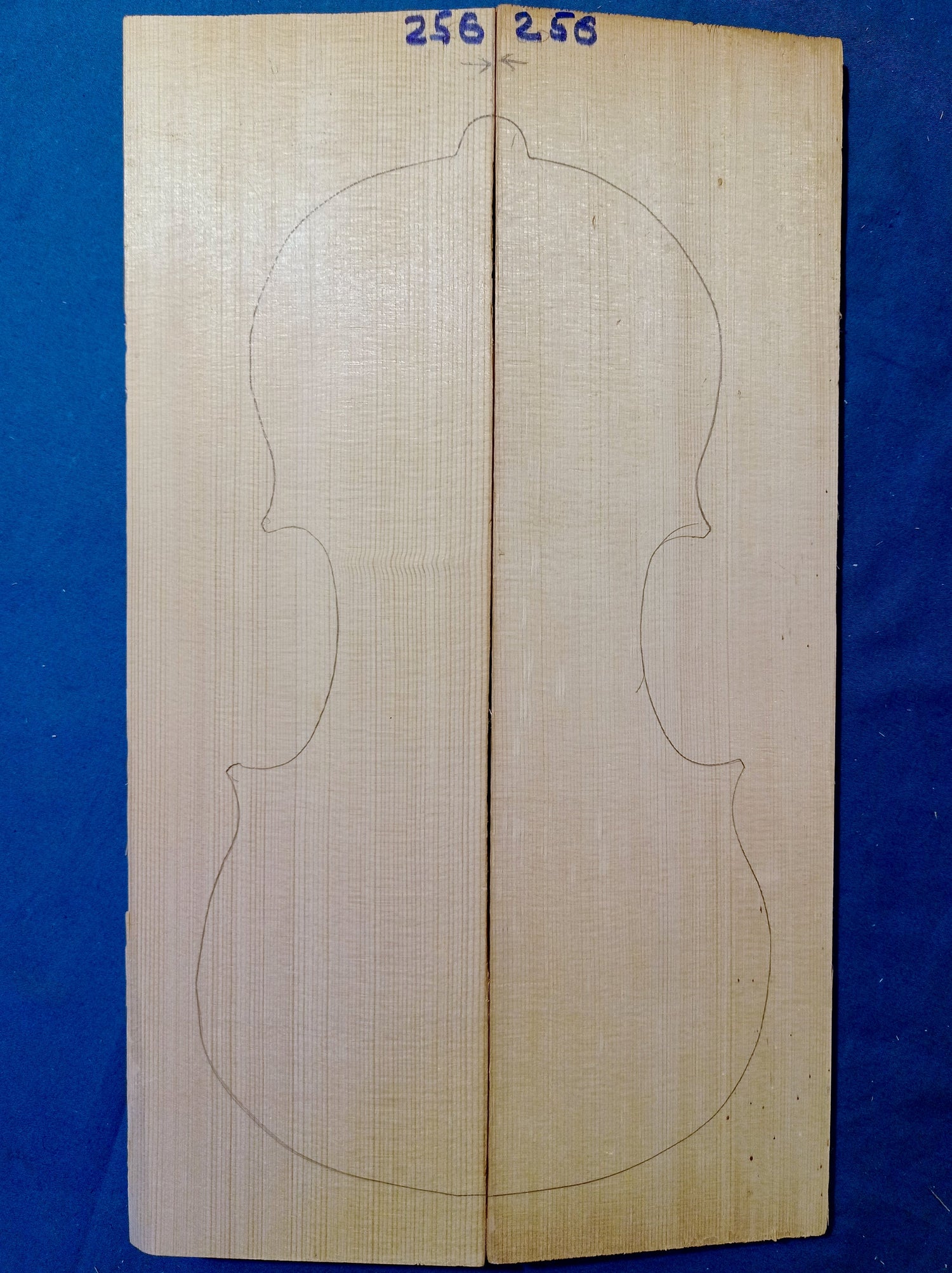 Two Piece Top - No Twins