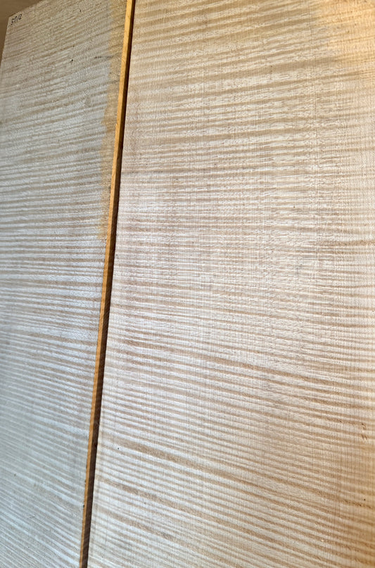 Cello Two Piece Back