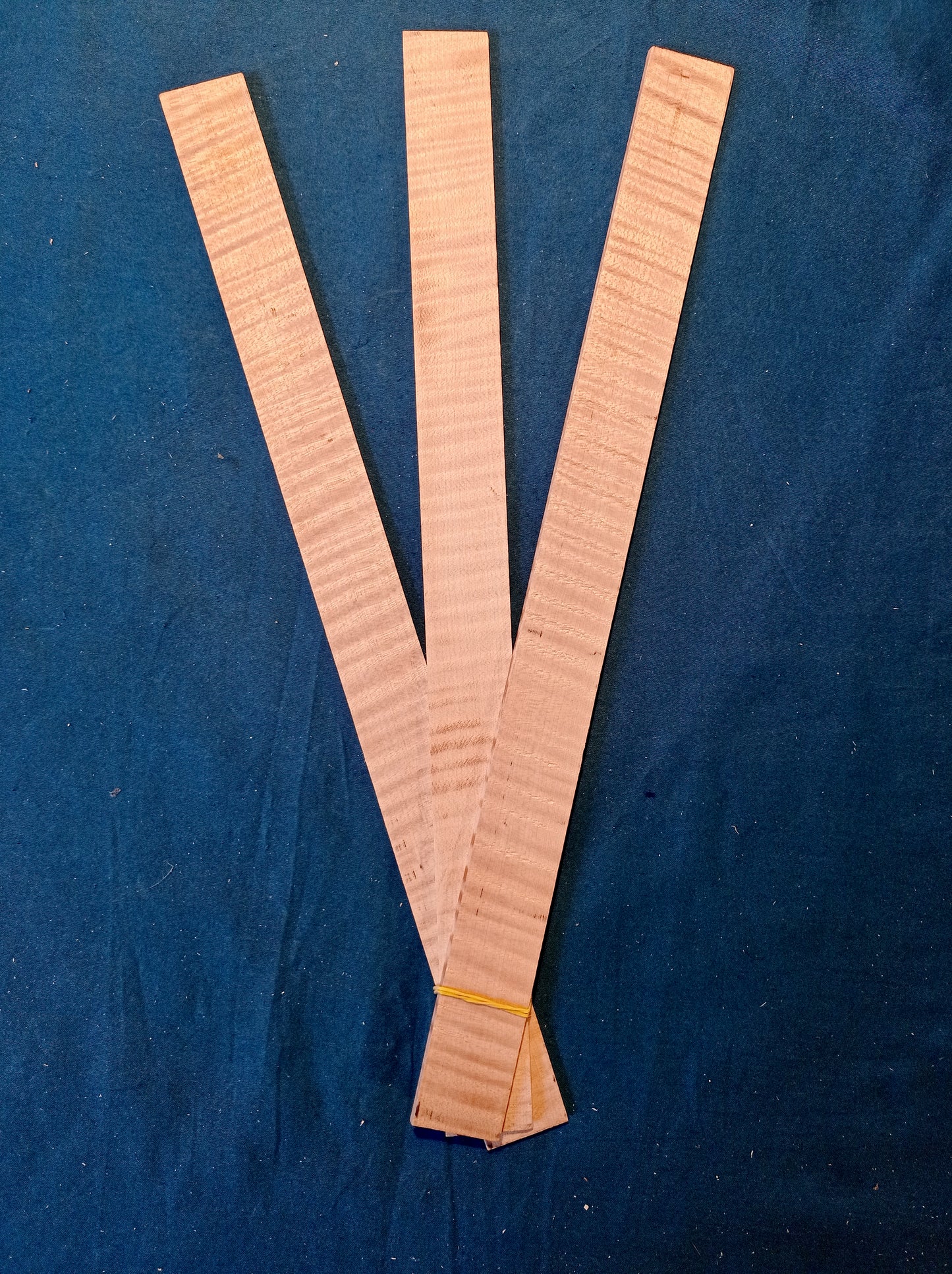 Violin ribs - set, piece 701