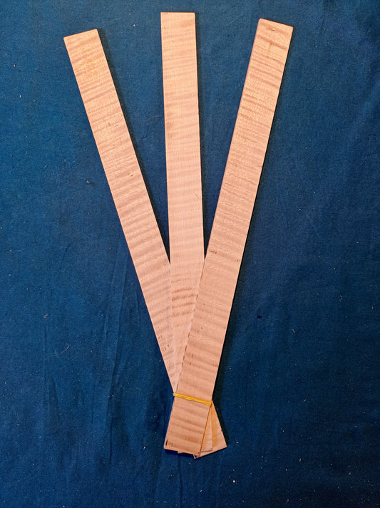 Violin ribs - set, piece 701