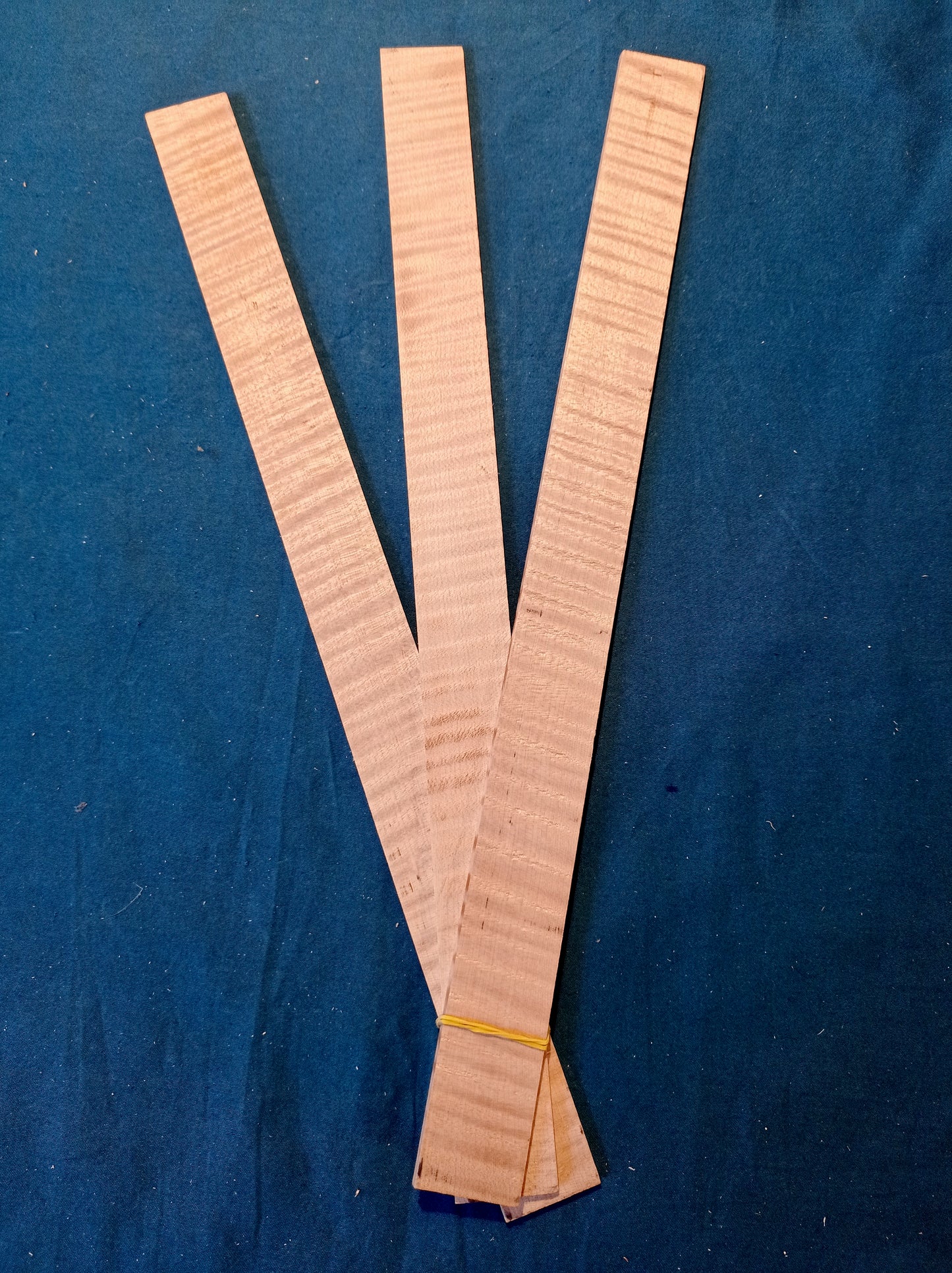 Violin ribs - set, piece 701