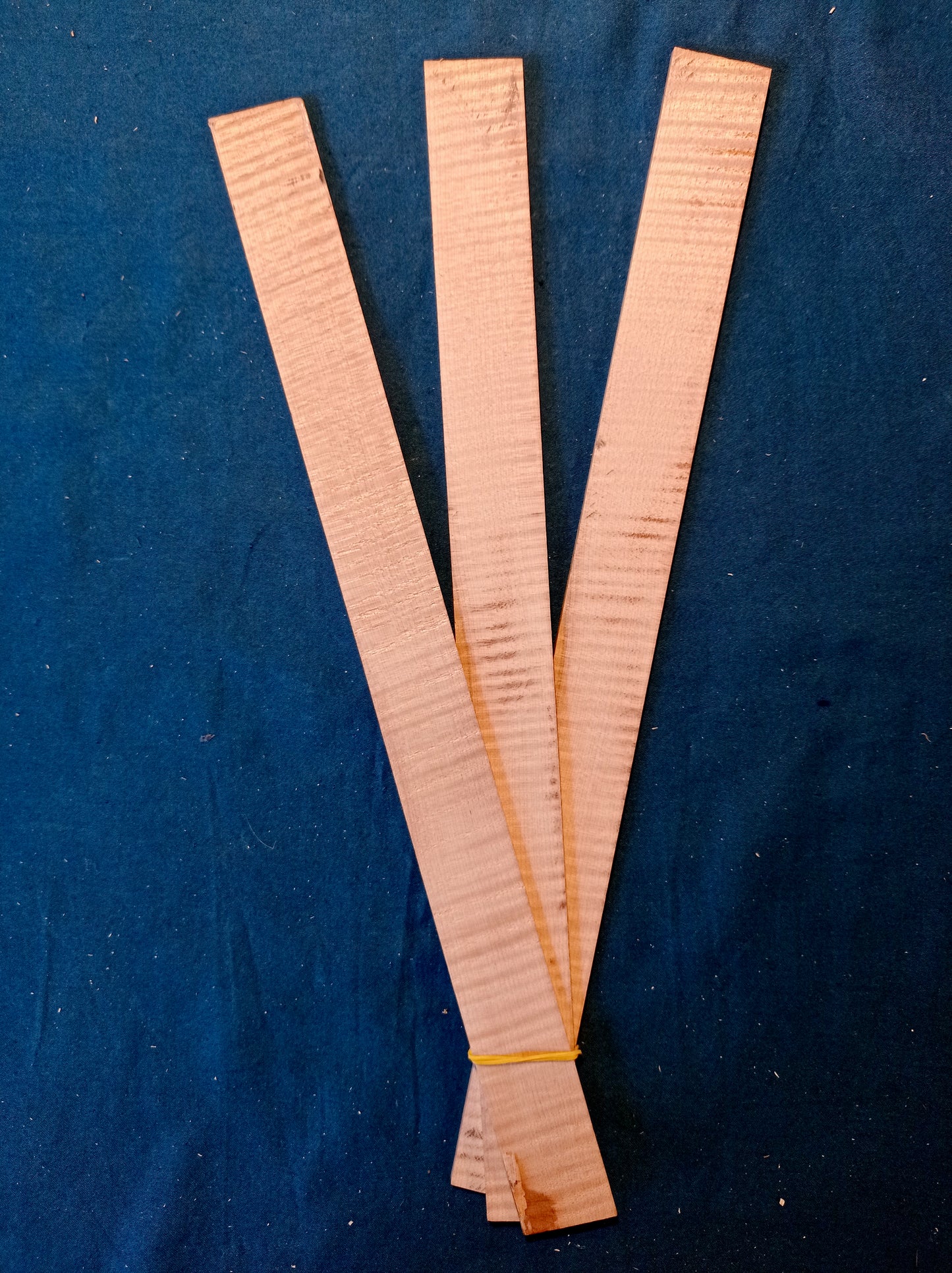 Violin ribs - set, piece 703