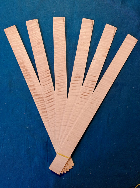Violin ribs - set, piece 705