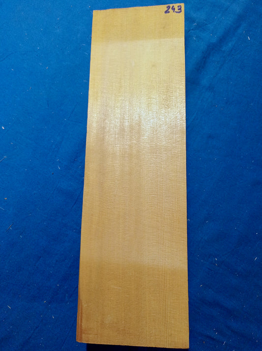 Viola Two Piece Top - Twins, piece 243