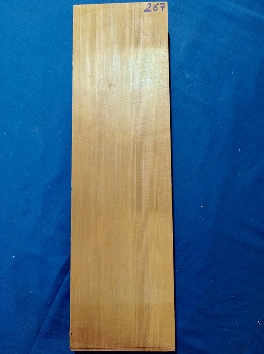 Viola Two Piece Top - Twins, piece 267