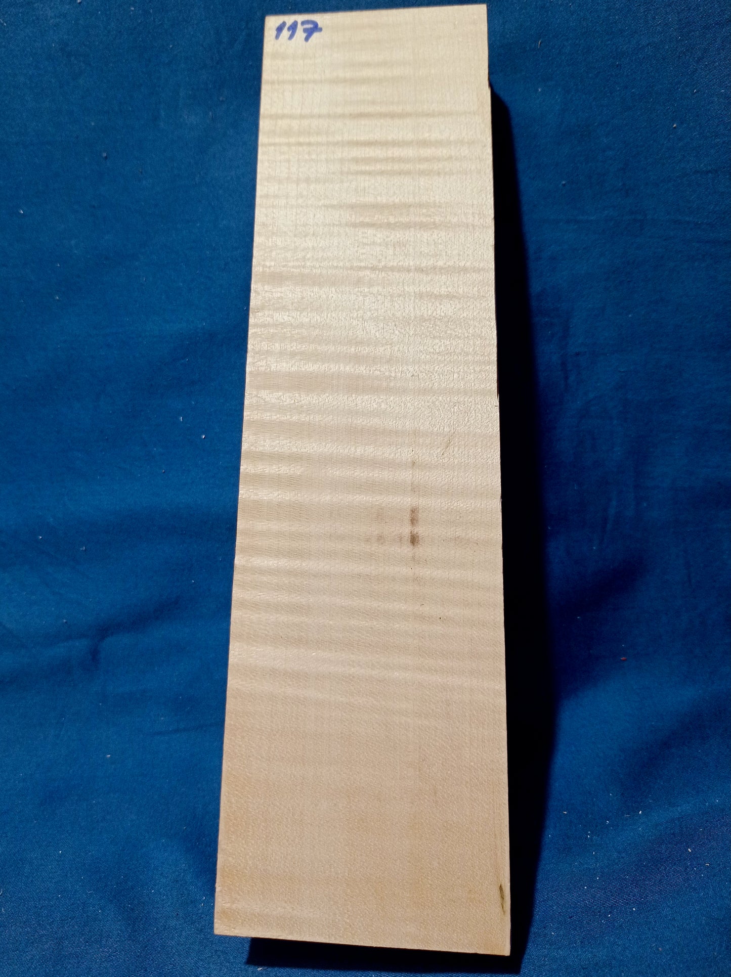 Violin & Viola Neck, piece 117