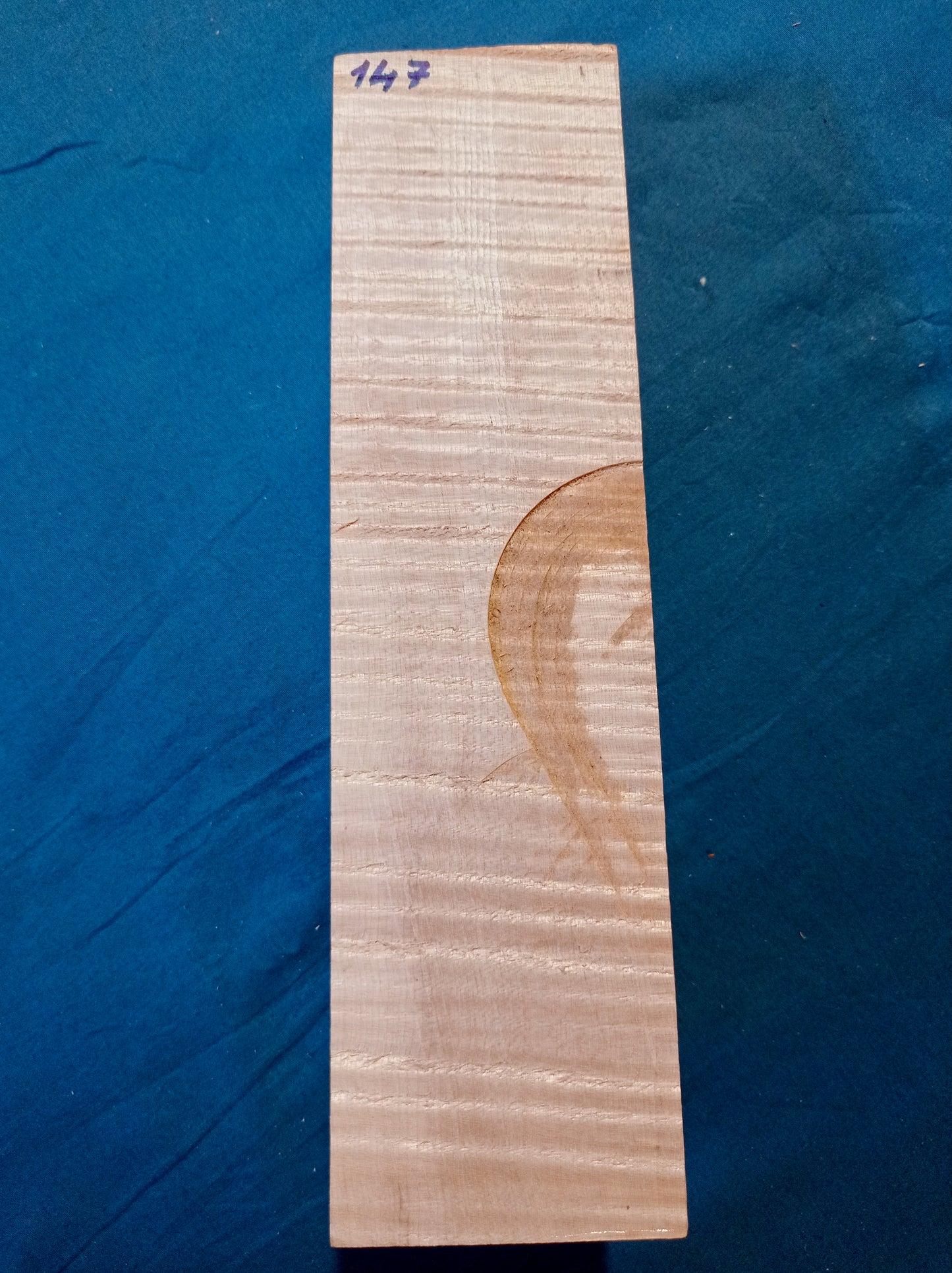 Violin & Viola Neck, piece 147