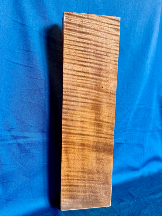 Violin Two Piece Back - Twins, piece 14