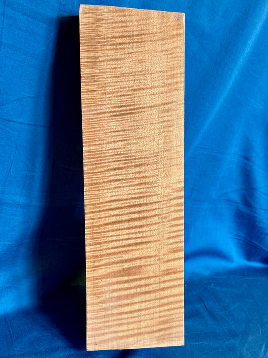 Violin Two Piece Back - Twins, piece 18