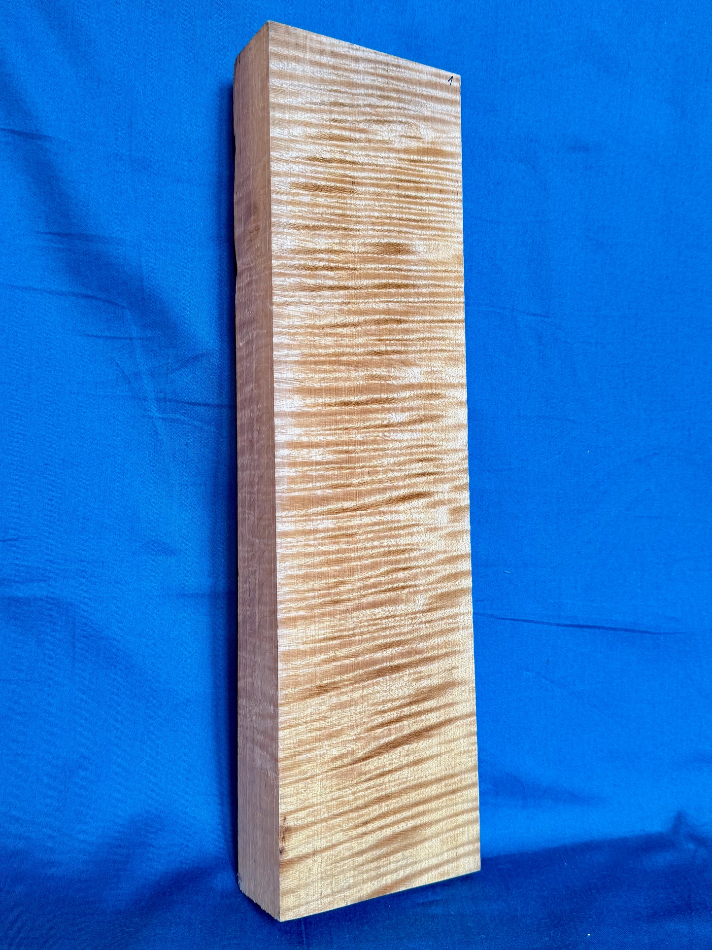 Violin Two Piece Back - Twins, piece 1