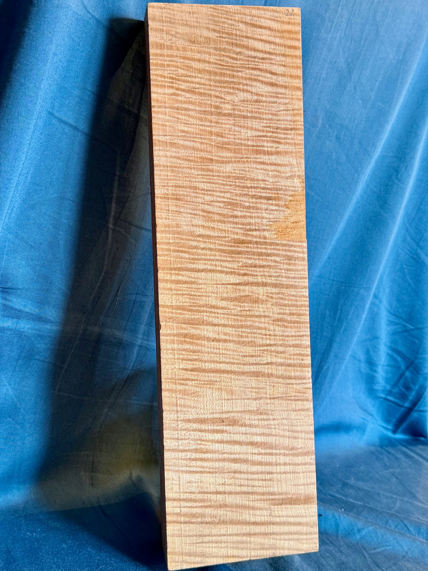Violin Two Piece Back - Twins, piece 22