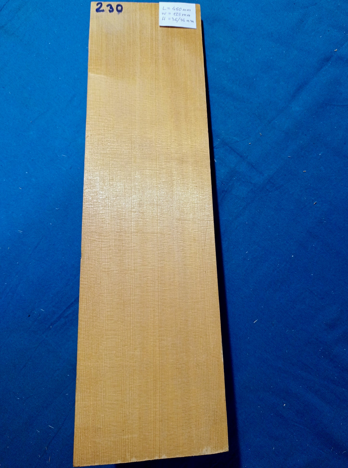 Violin Two Piece Top - Twins, piece 230