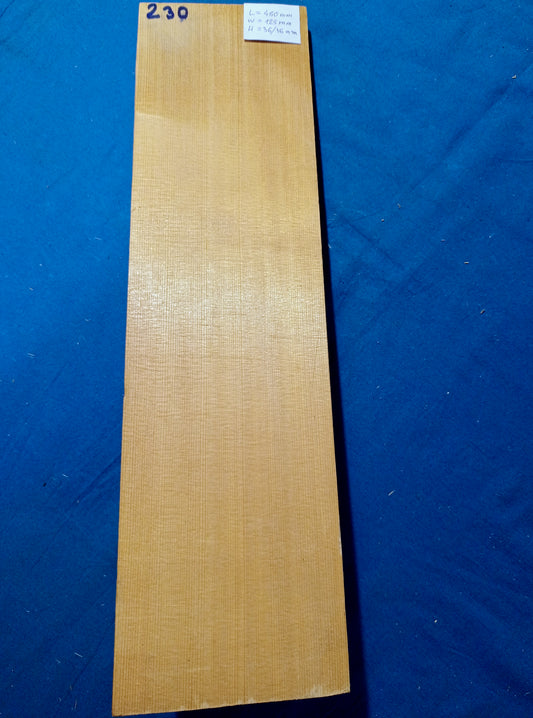 Violin Two Piece Top - Twins, piece 230