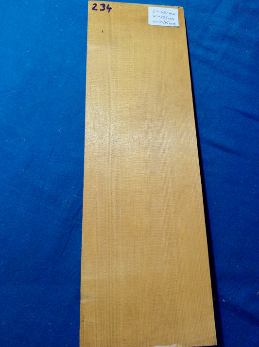 Violin Two Piece Top - Twins, piece 234