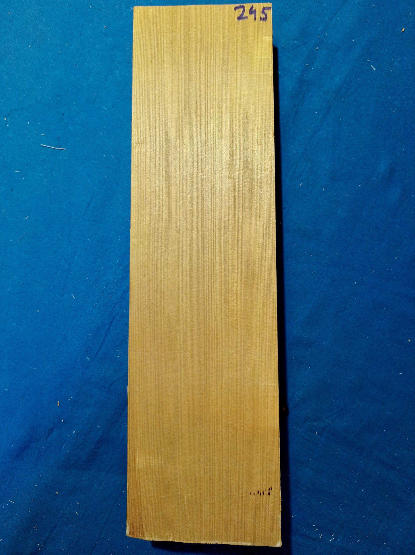 Violin Two Piece Top - Twins, piece 245