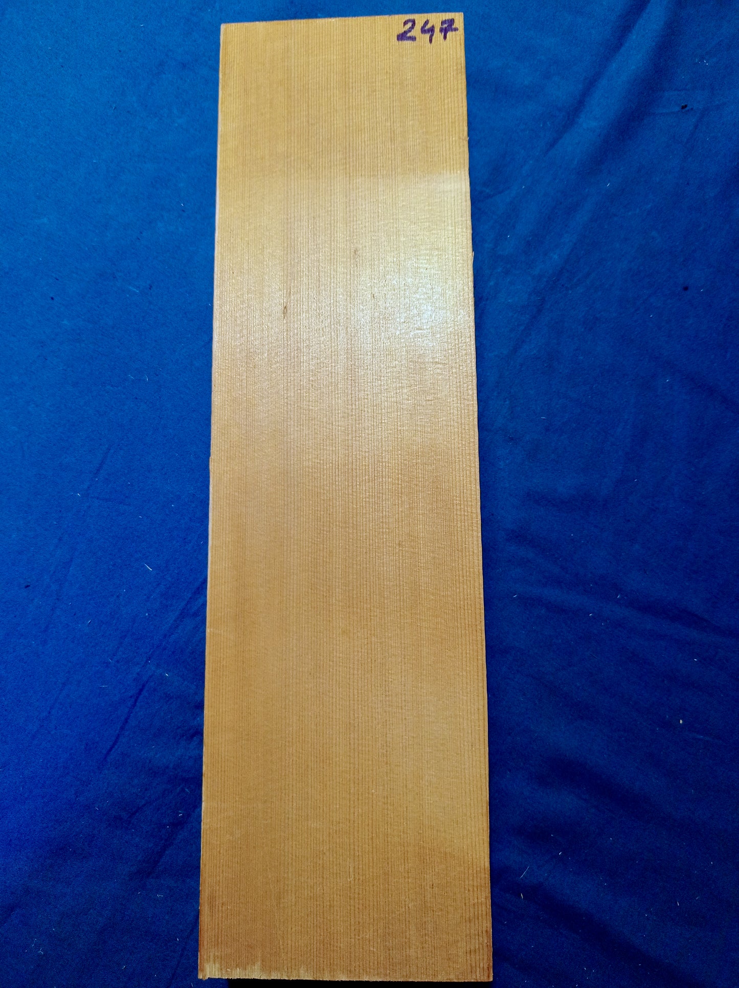 Violin Two Piece Top - Twins, piece 247