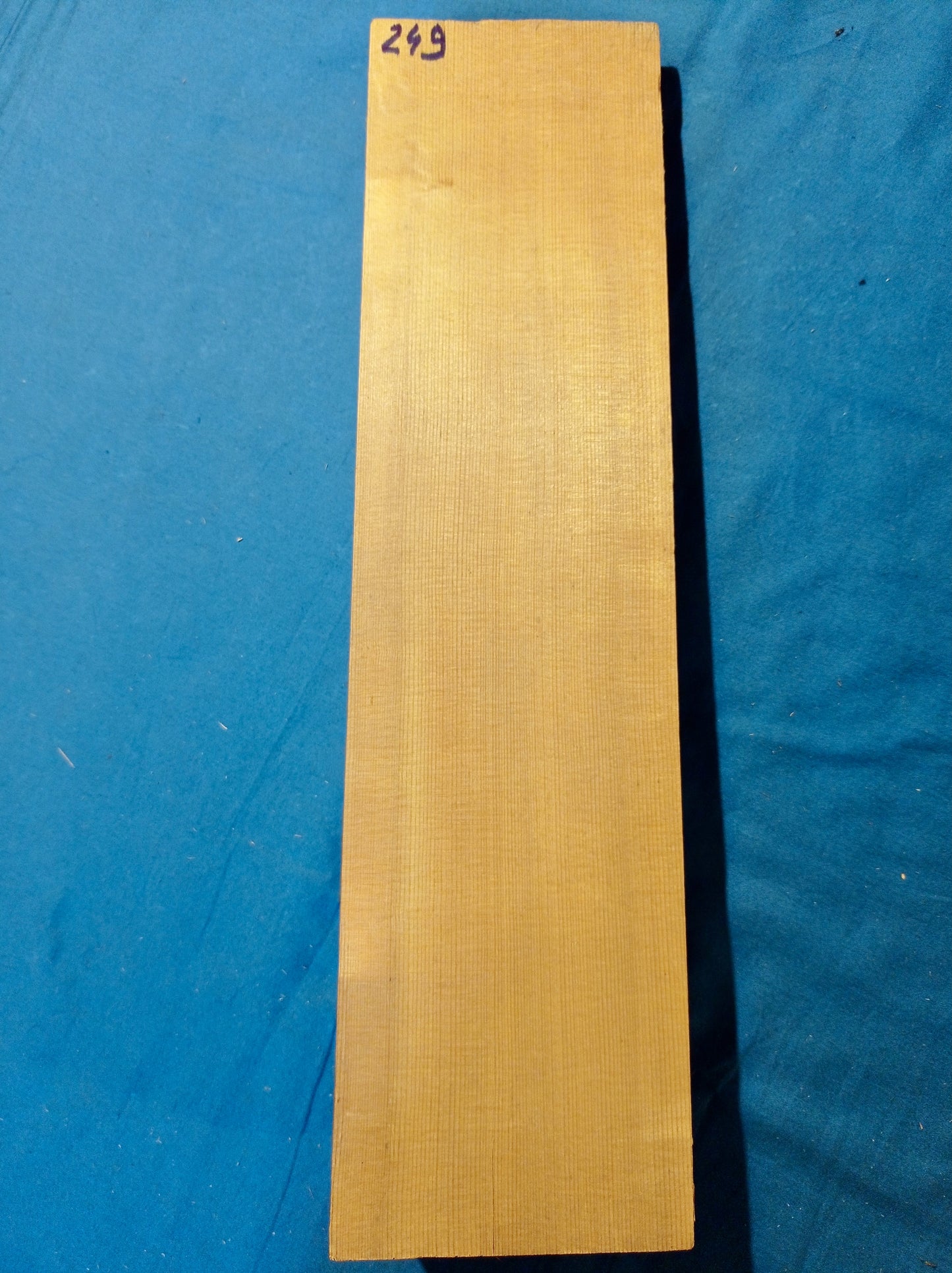 Violin Two Piece Top - Twins, piece 249