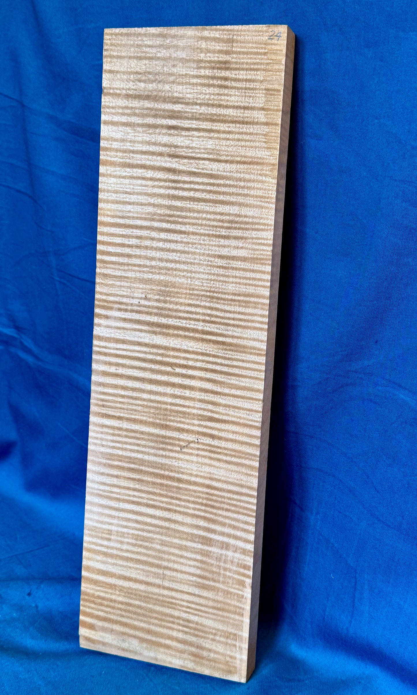 Violin Two Piece Back - Twins, piece 24