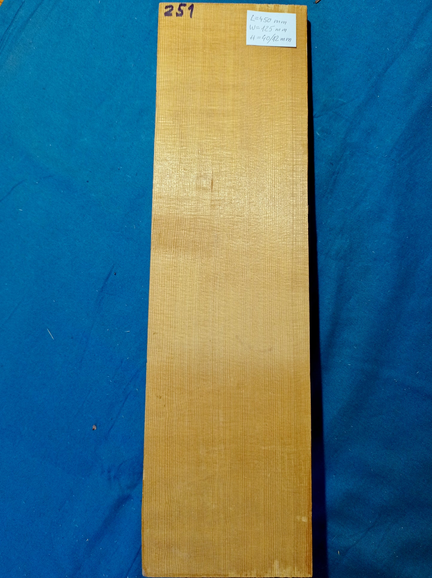 Violin Two Piece Top - Twins, piece 251