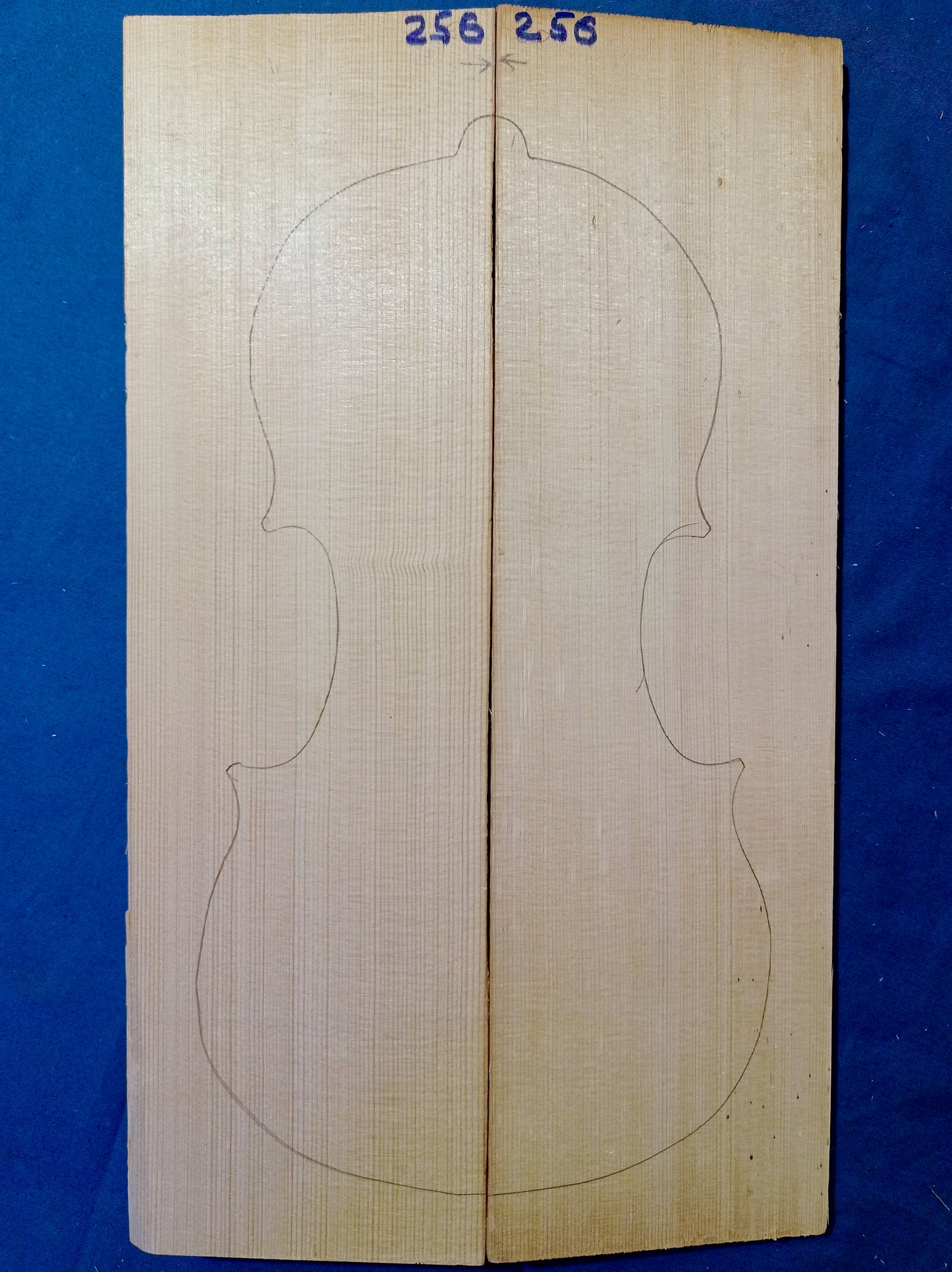 Violin Two Piece Top - No Twins, piece 256