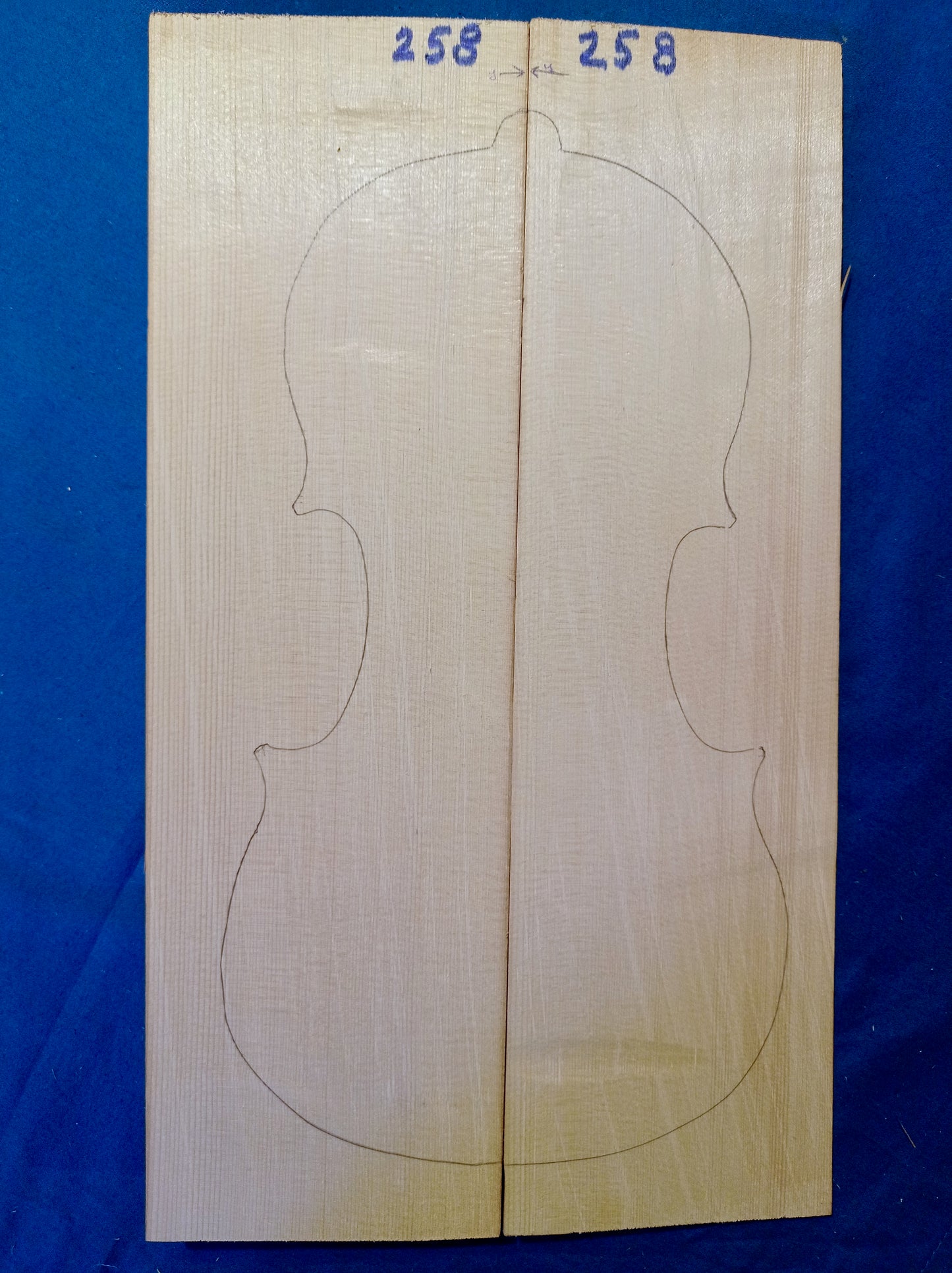 Violin Two Piece Top - No Twins, piece 258