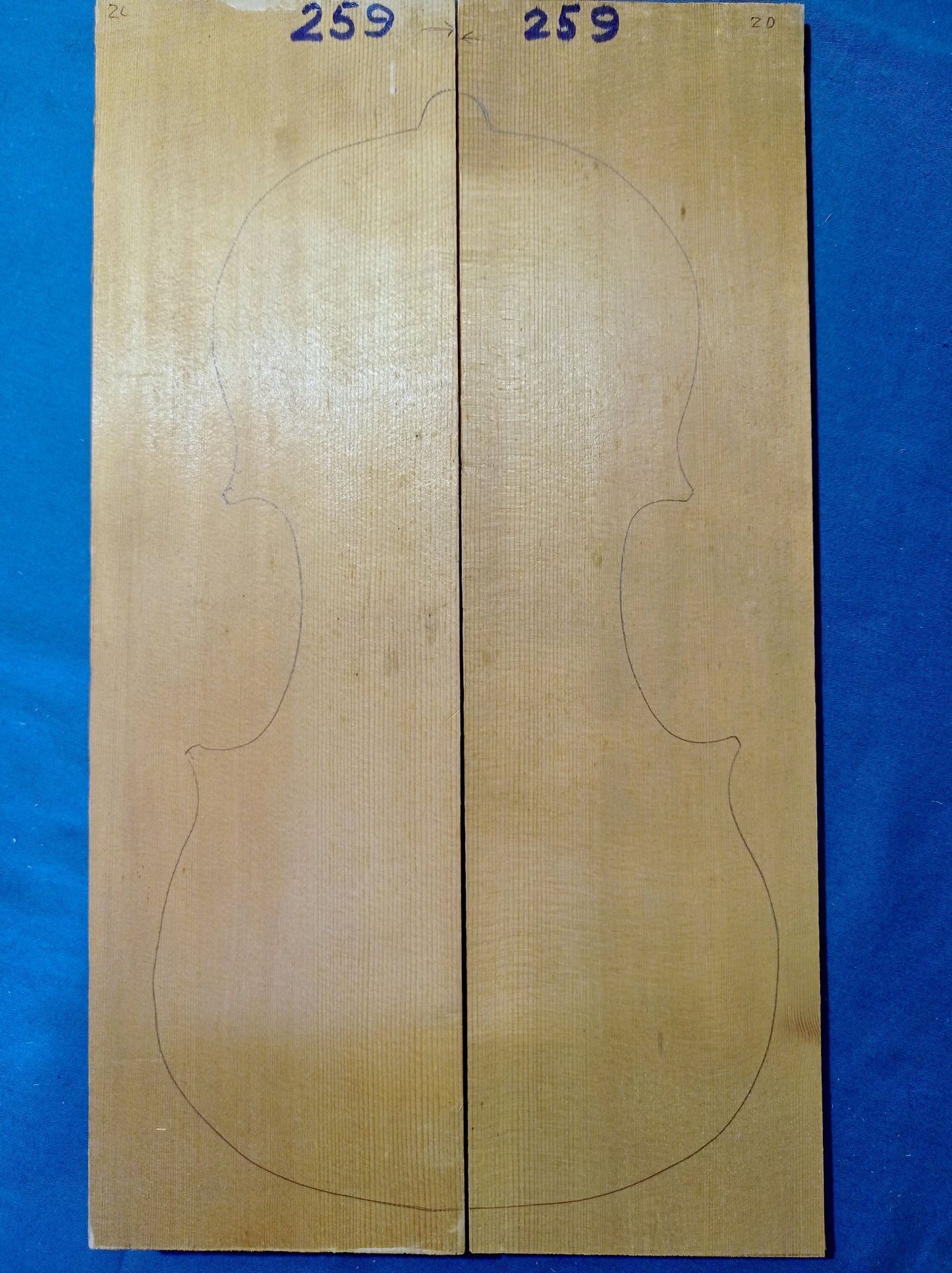 Violin Two Piece Top - No Twins, piece 259