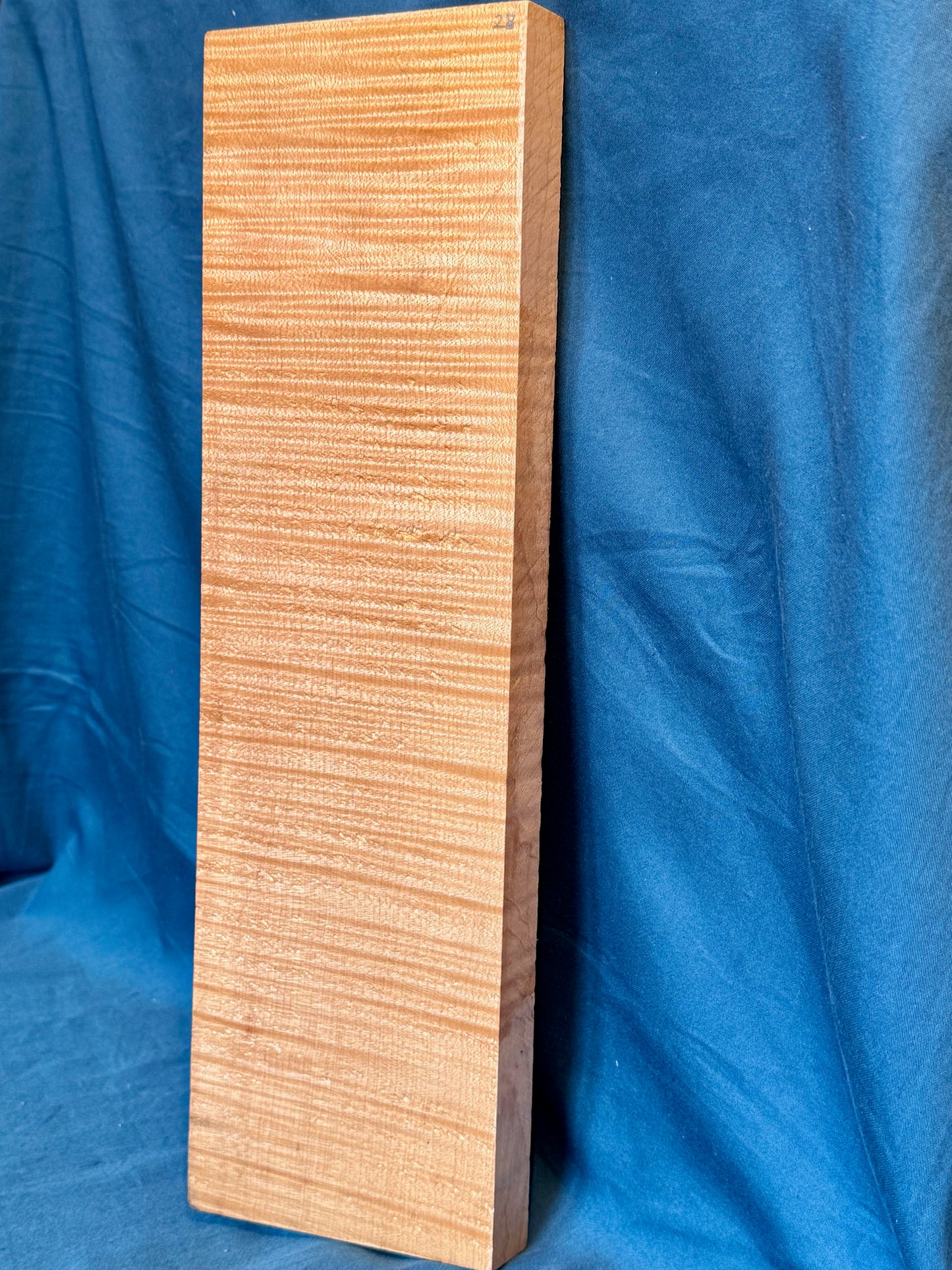 Violin Two Piece Back - Twins, piece 28