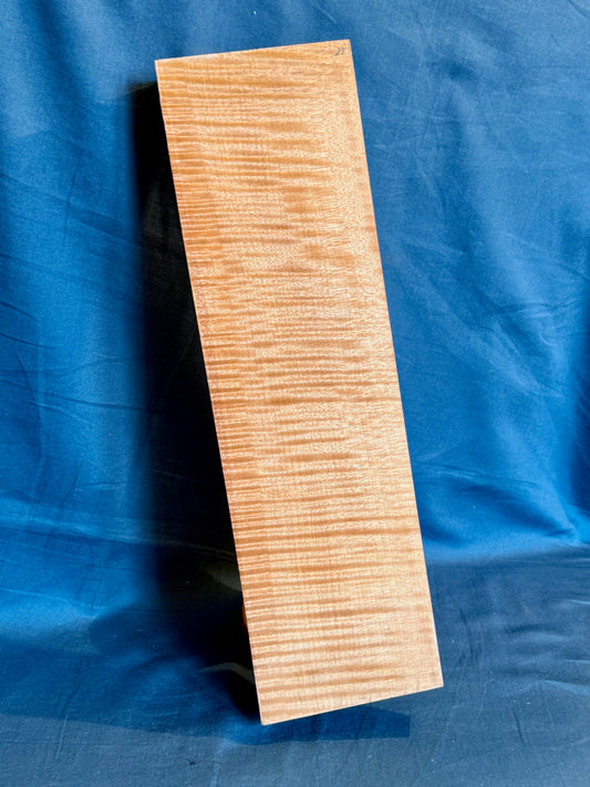 Violin Two Piece Back - Twins, piece 29