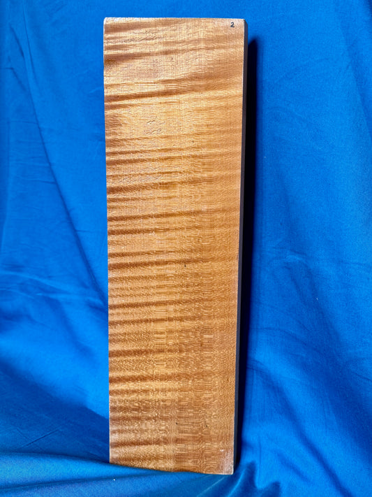 Violin Two Piece Back - Twins, piece 2