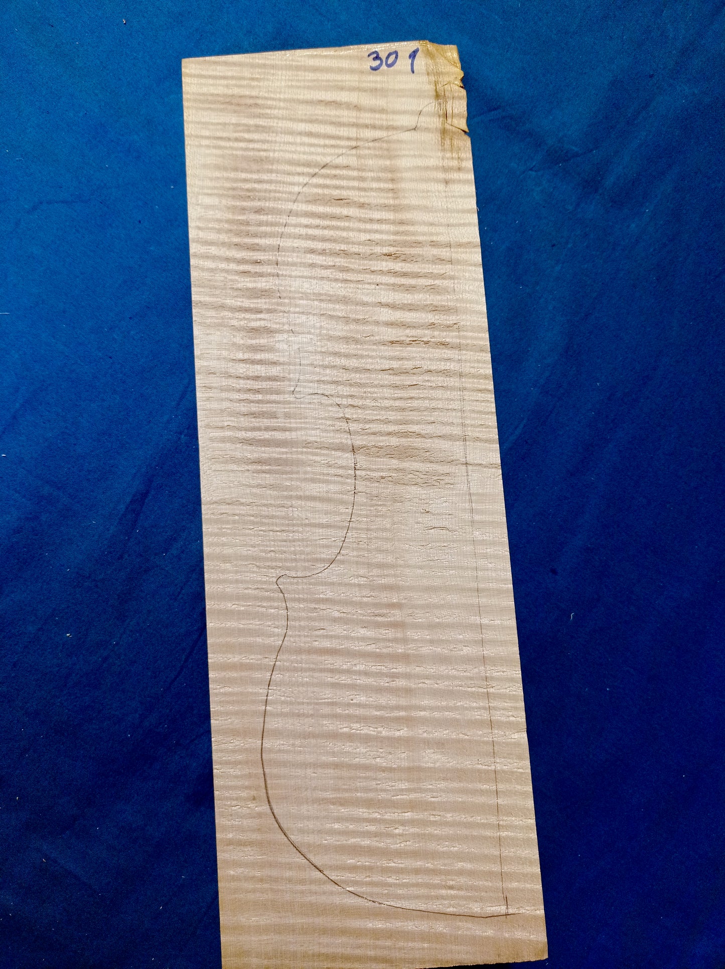 Violin Two Piece Back - Twins, piece 301