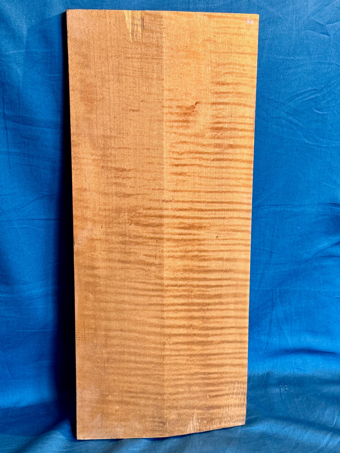 Violin One Piece Back, piece 37