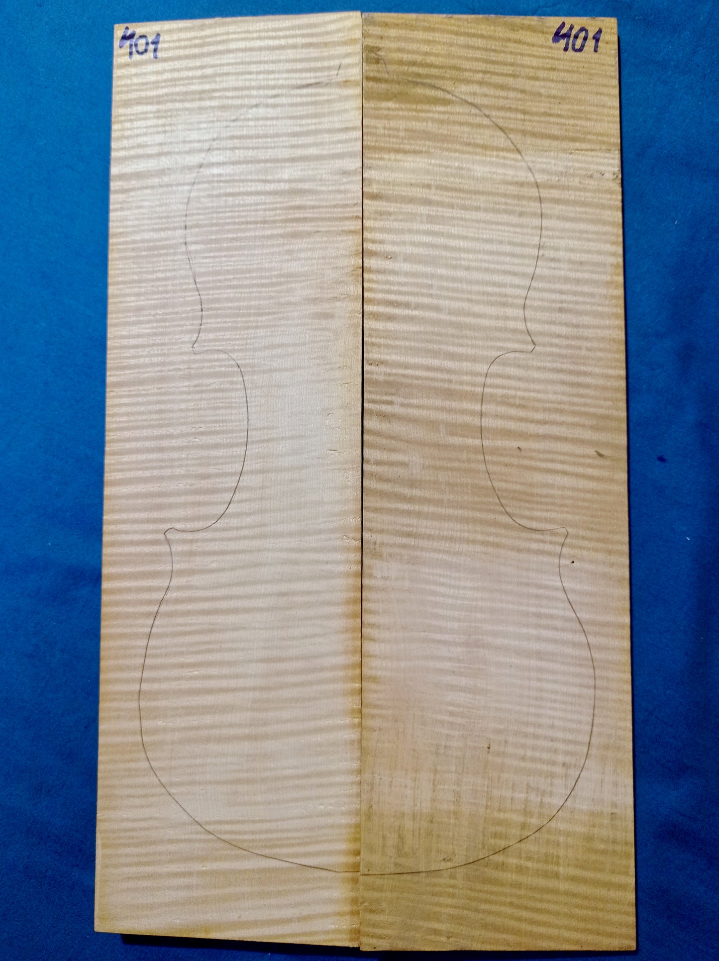 Violin Two Piece Back - No Twins, piece 401