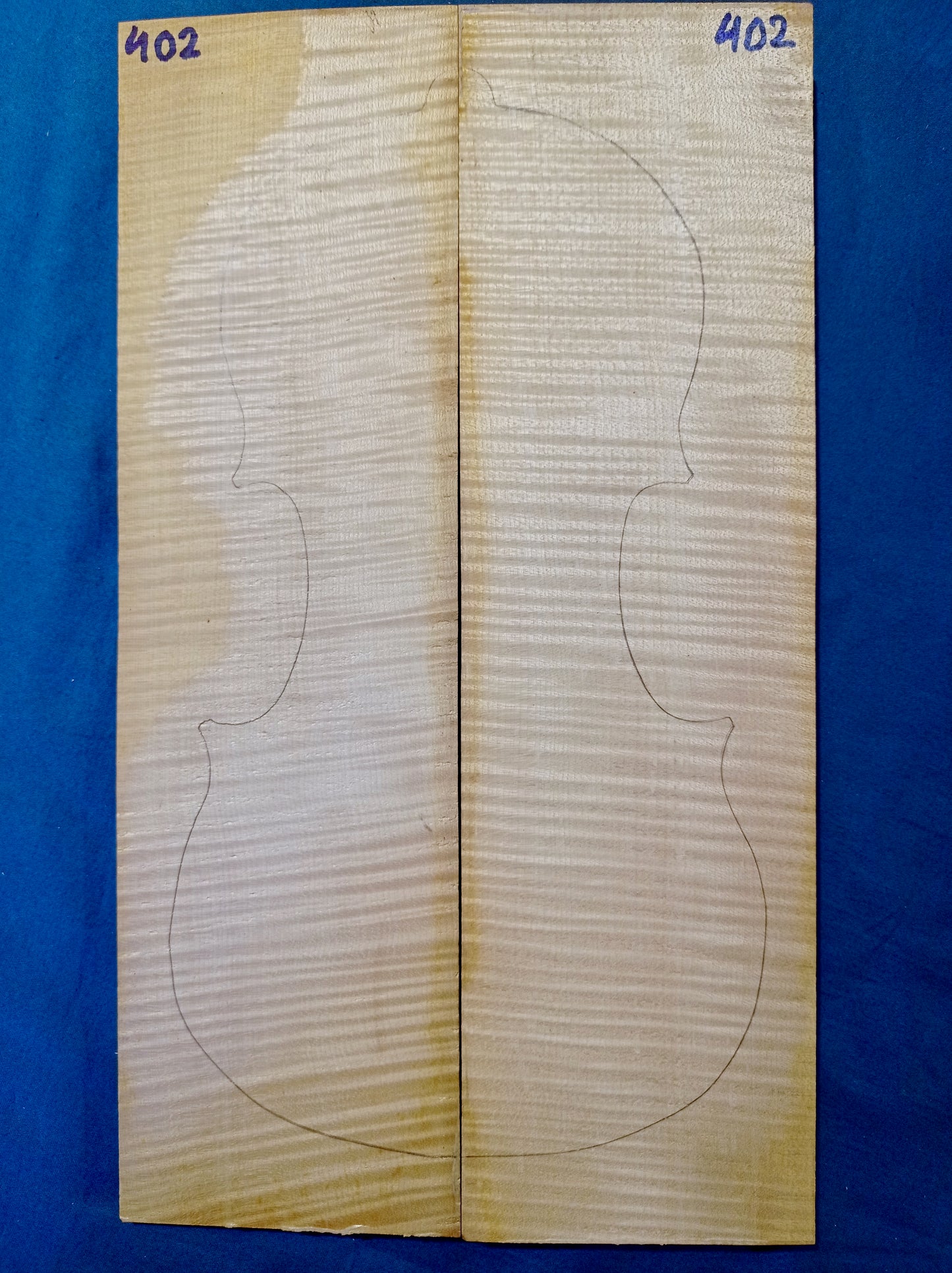 Violin Two Piece Back - No Twins, piece 402