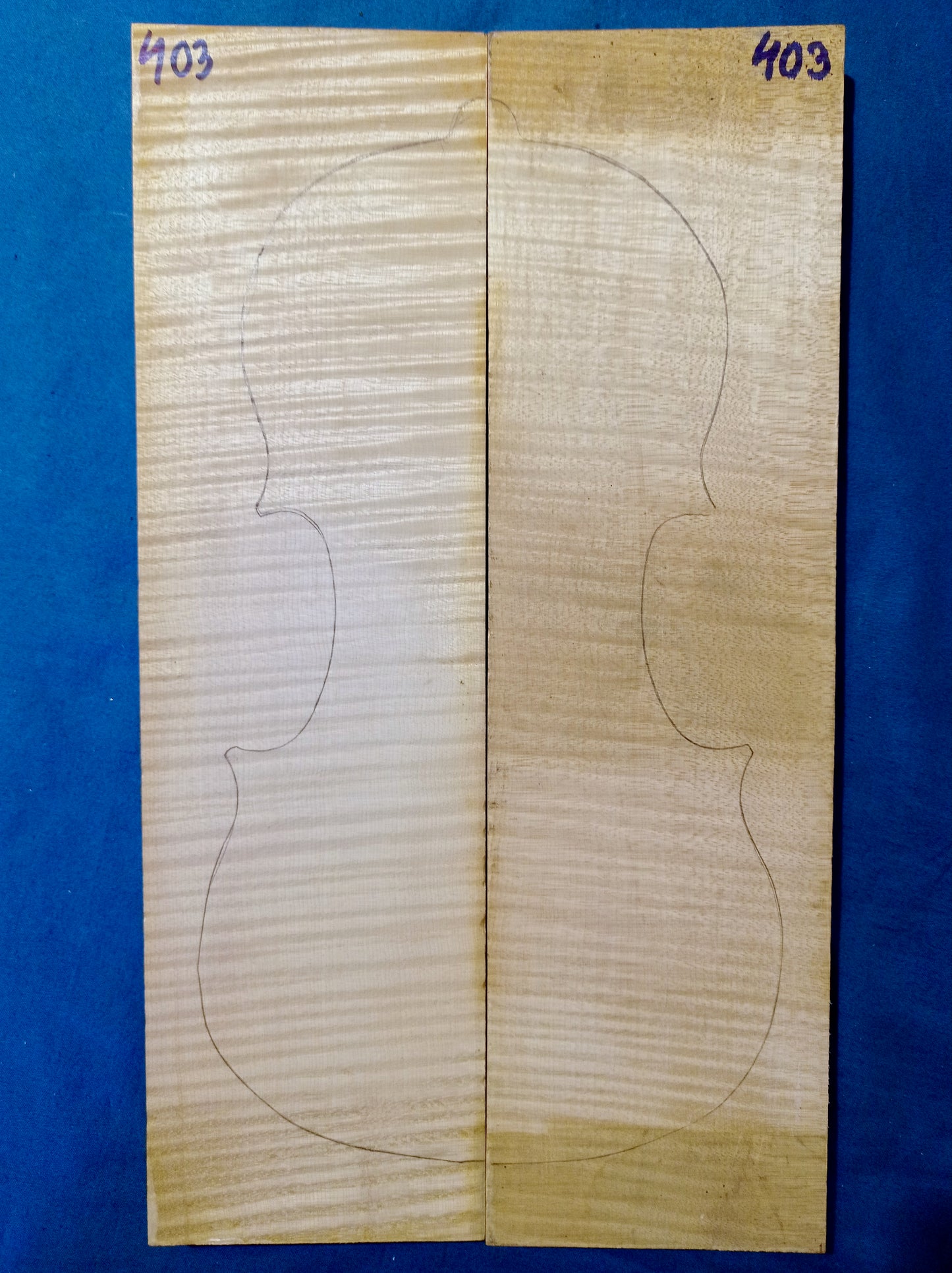 Violin Two Piece Back - No Twins, piece 403