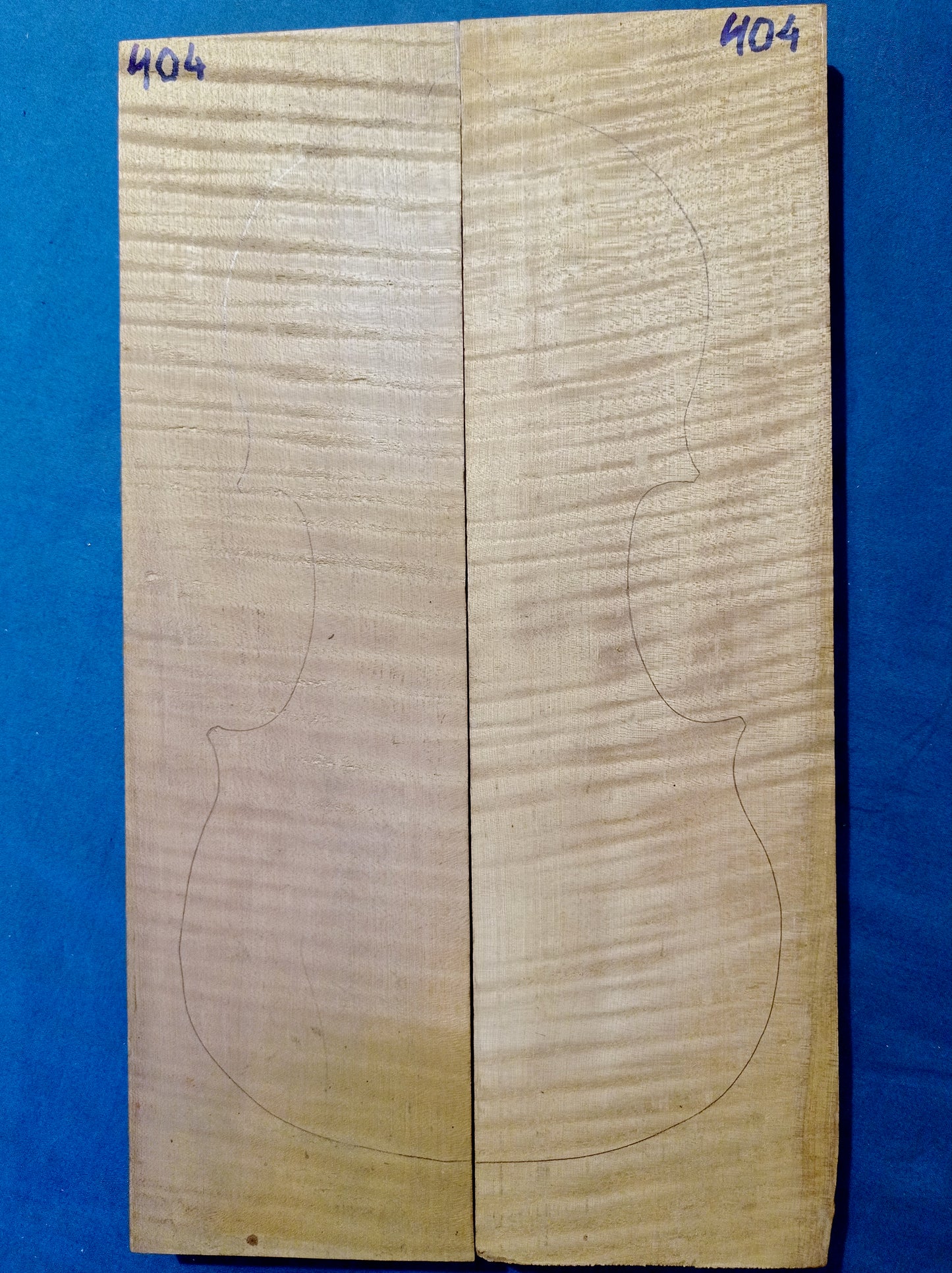 Violin Two Piece Back - No Twins, piece 404