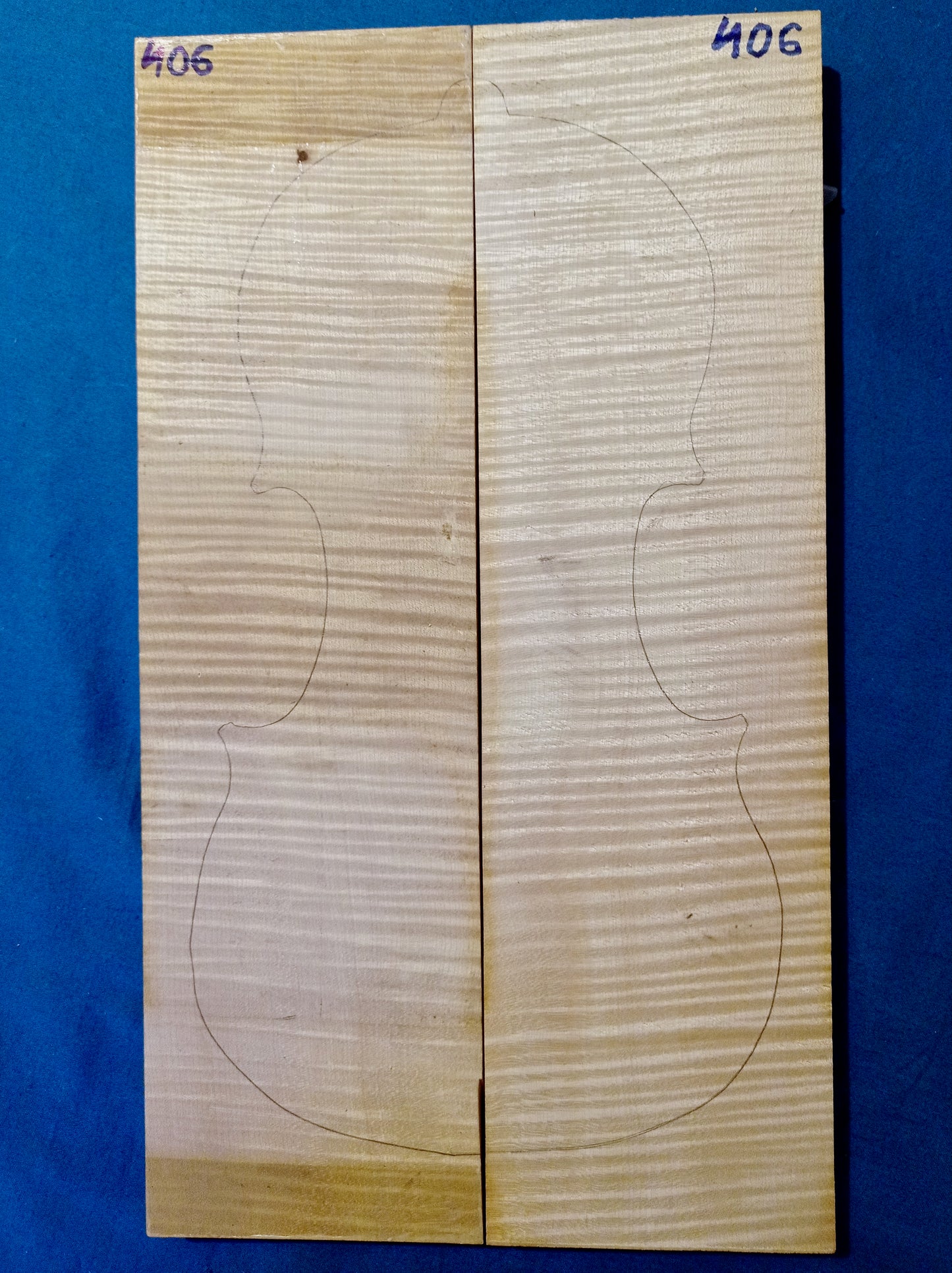 Violin Two Piece Back - No Twins, piece 406