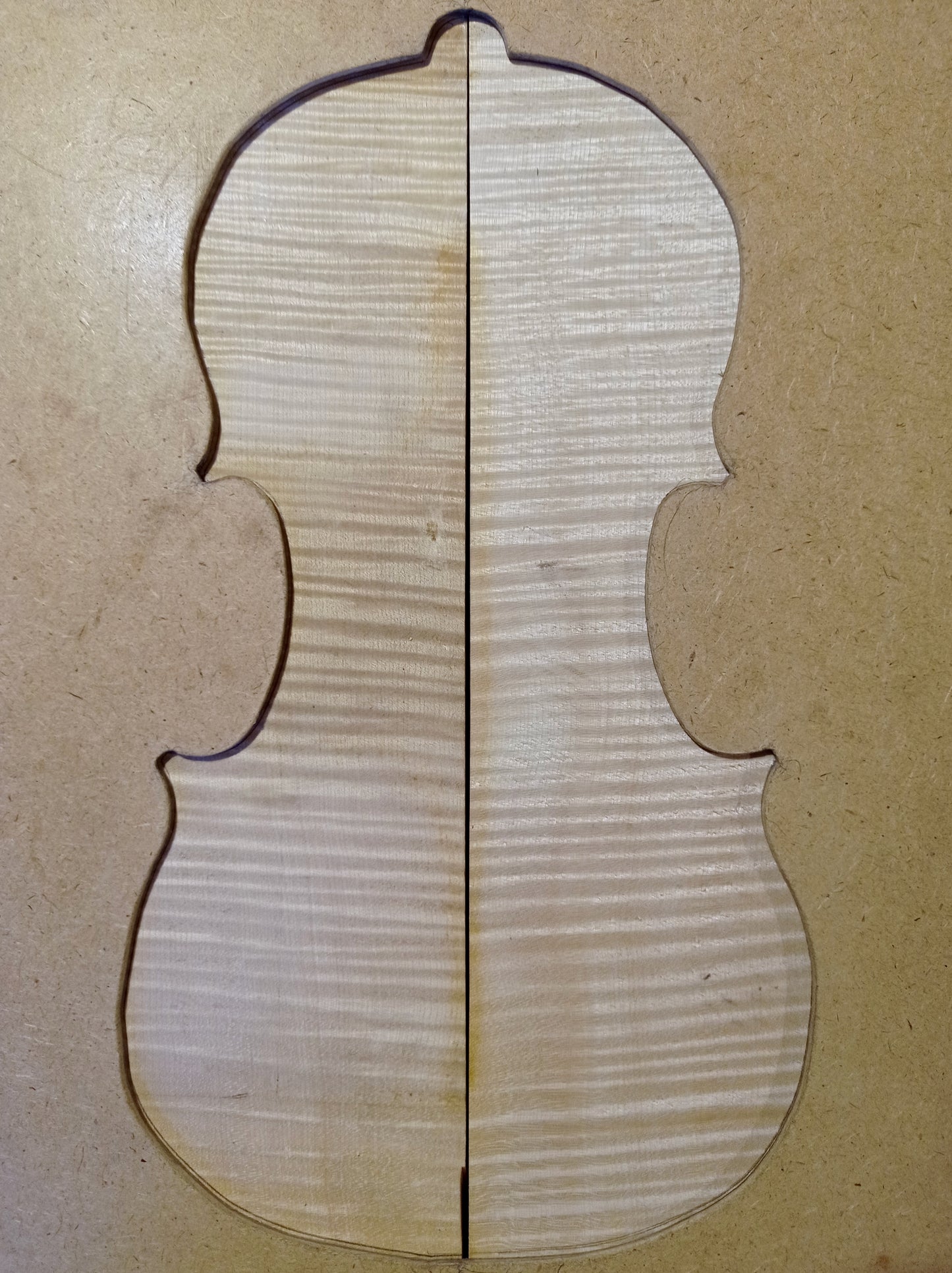 Violin Two Piece Back - No Twins, piece 406