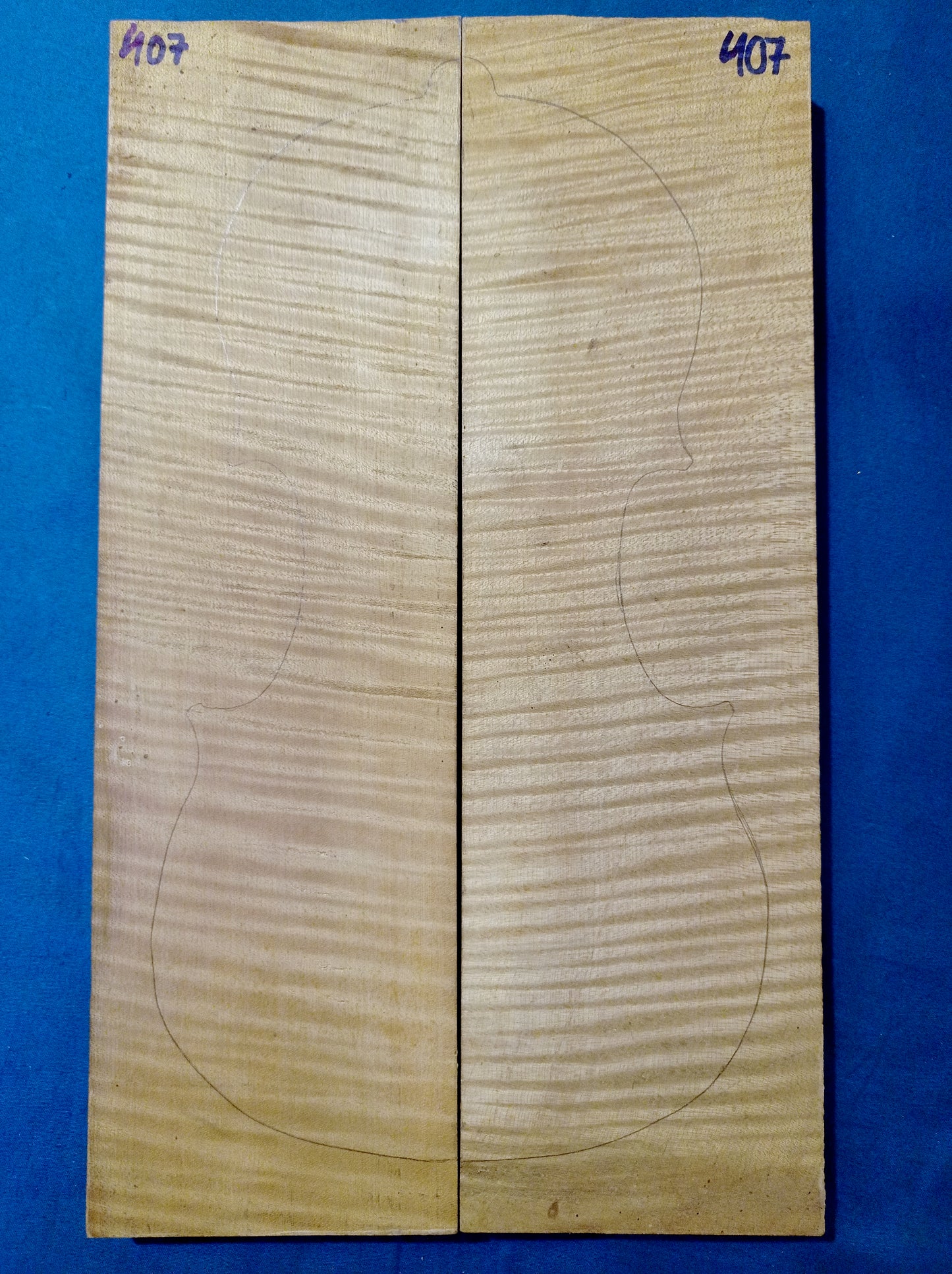 Violin Two Piece Back - No Twins, piece 407