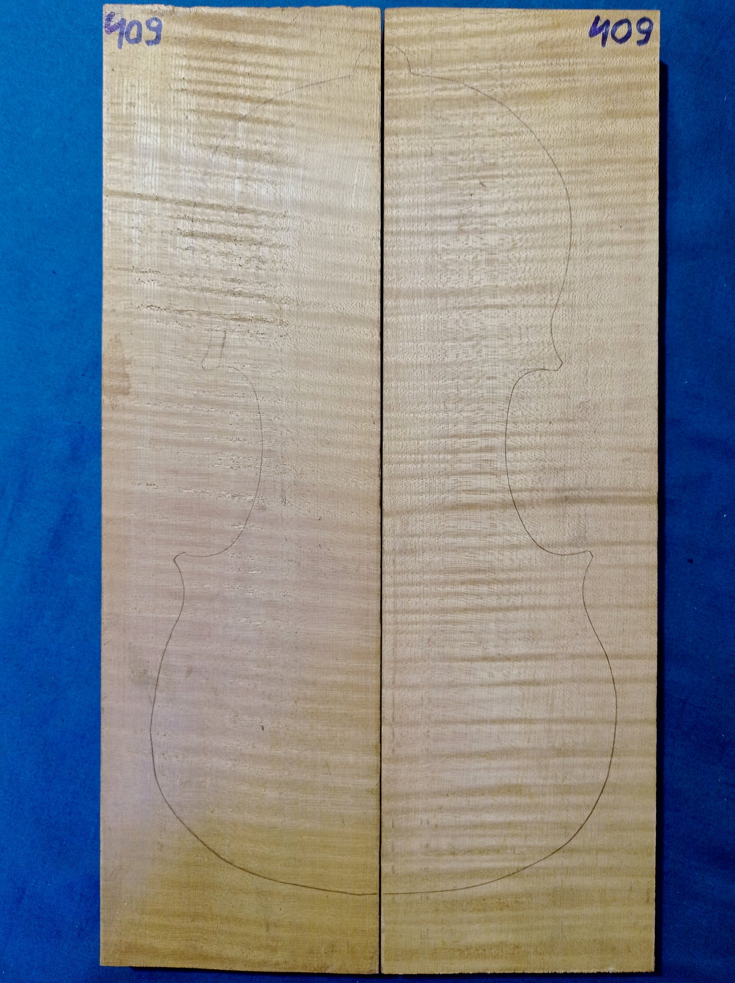 Violin Two Piece Back - No Twins, piece 409