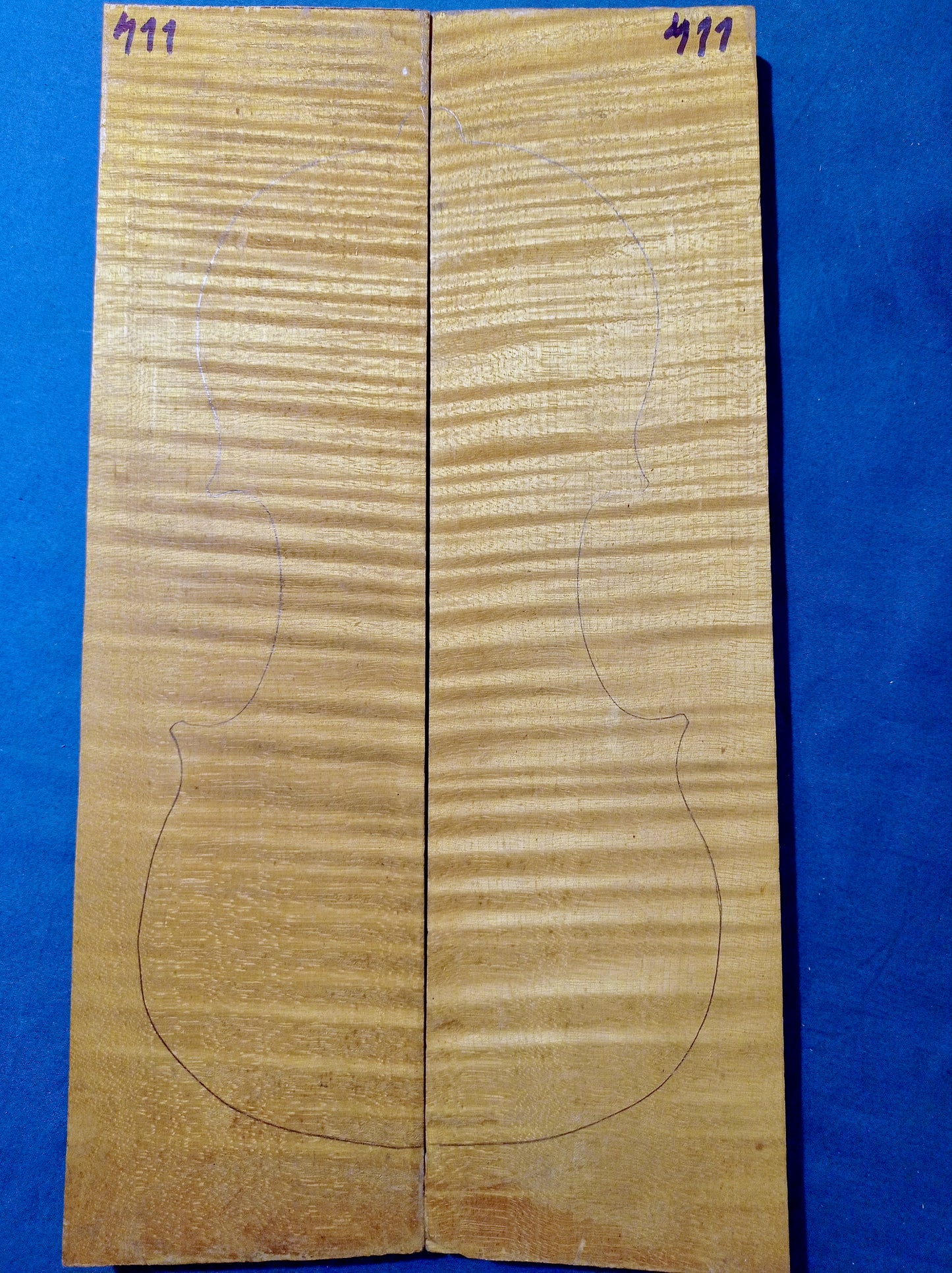 Violin Two Piece Back - No Twins, piece 411