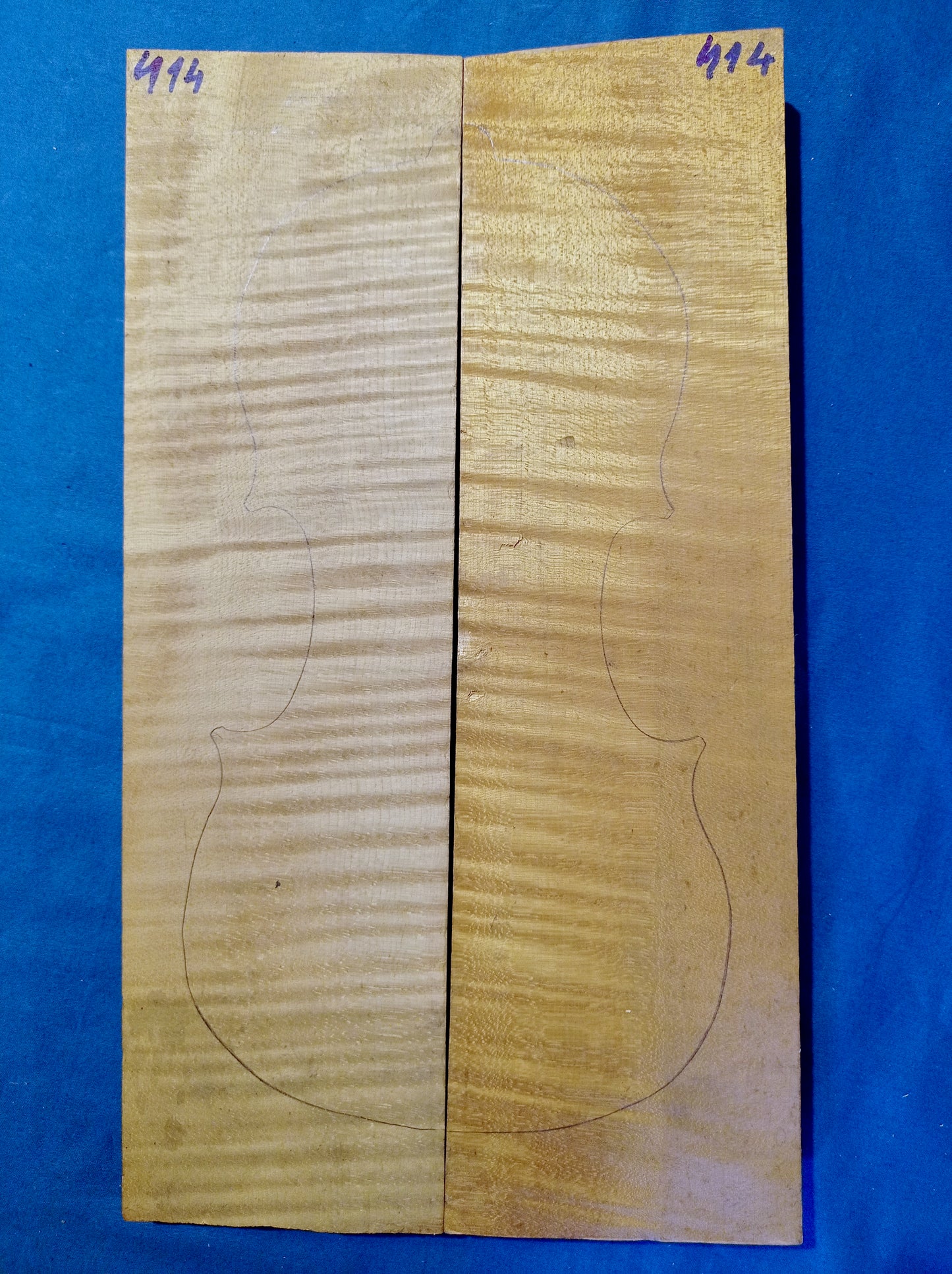 Violin Two Piece Back - No Twins, piece 414
