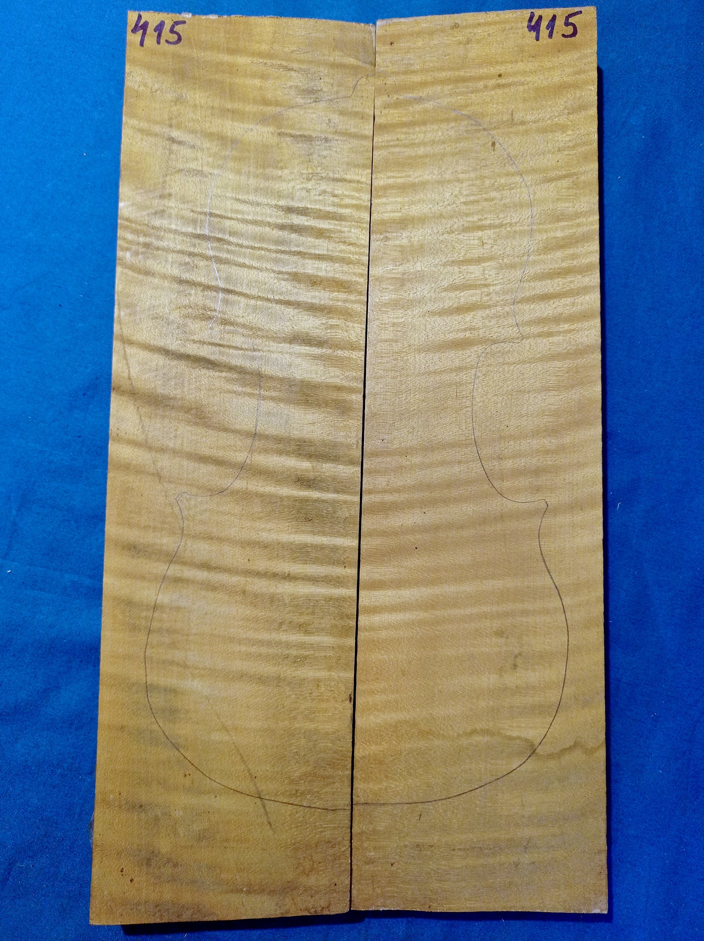 Violin Two Piece Back - No Twins, piece 415