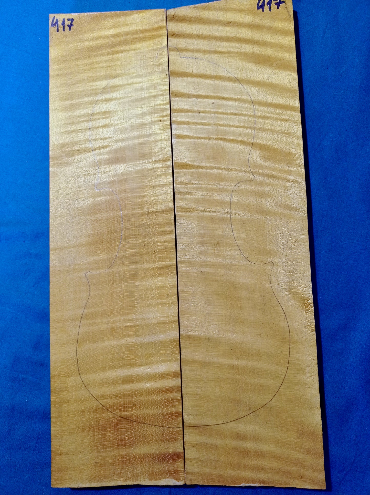 Violin Two Piece Back - No Twins, piece 417