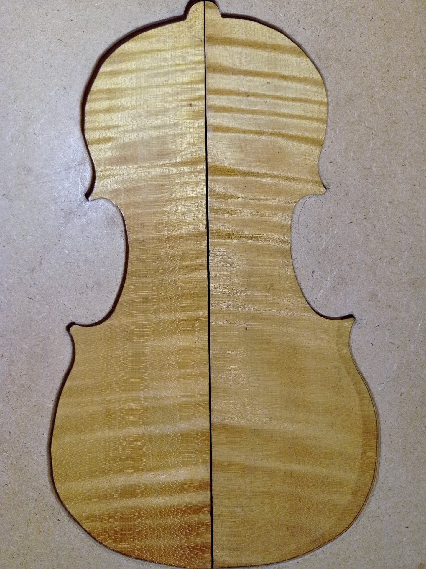 Violin Two Piece Back - No Twins, piece 417